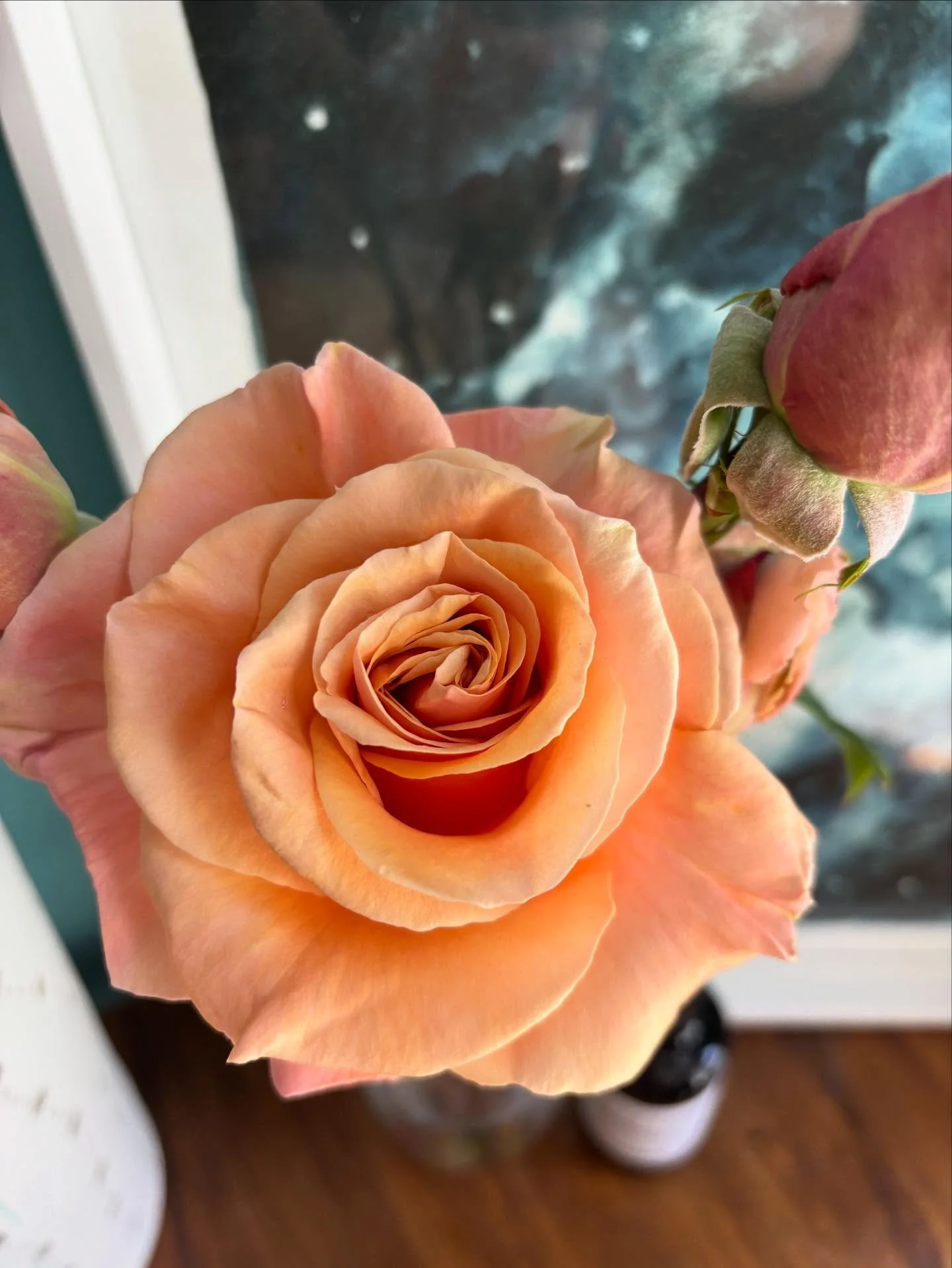 As the silly season starts, here&rsquo;s a gentle reminder to take some time to stop and smell the roses.
Be kind to yourself, be kind to others and remember to slowwwww down.

A heartfelt thank you to all of those clients who have filled up my diary