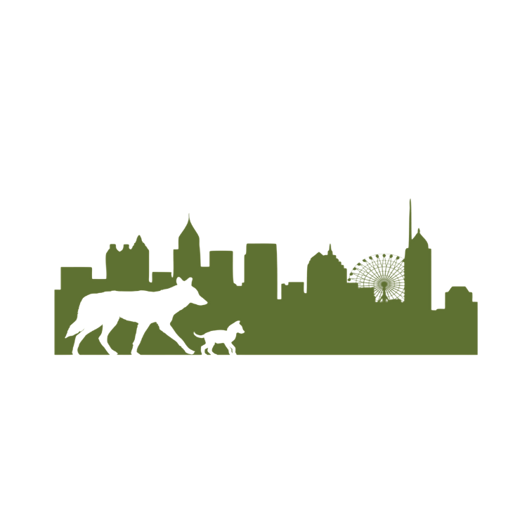 The Atlanta Coyote Project 