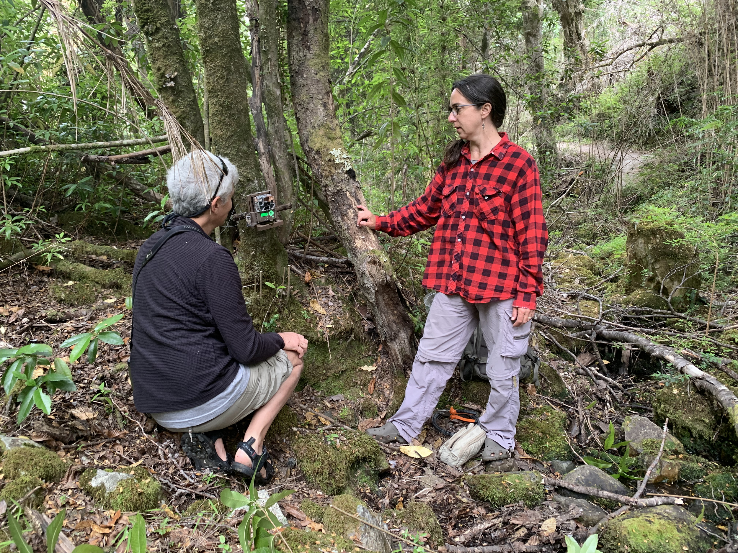 Setting up camera traps in the field.