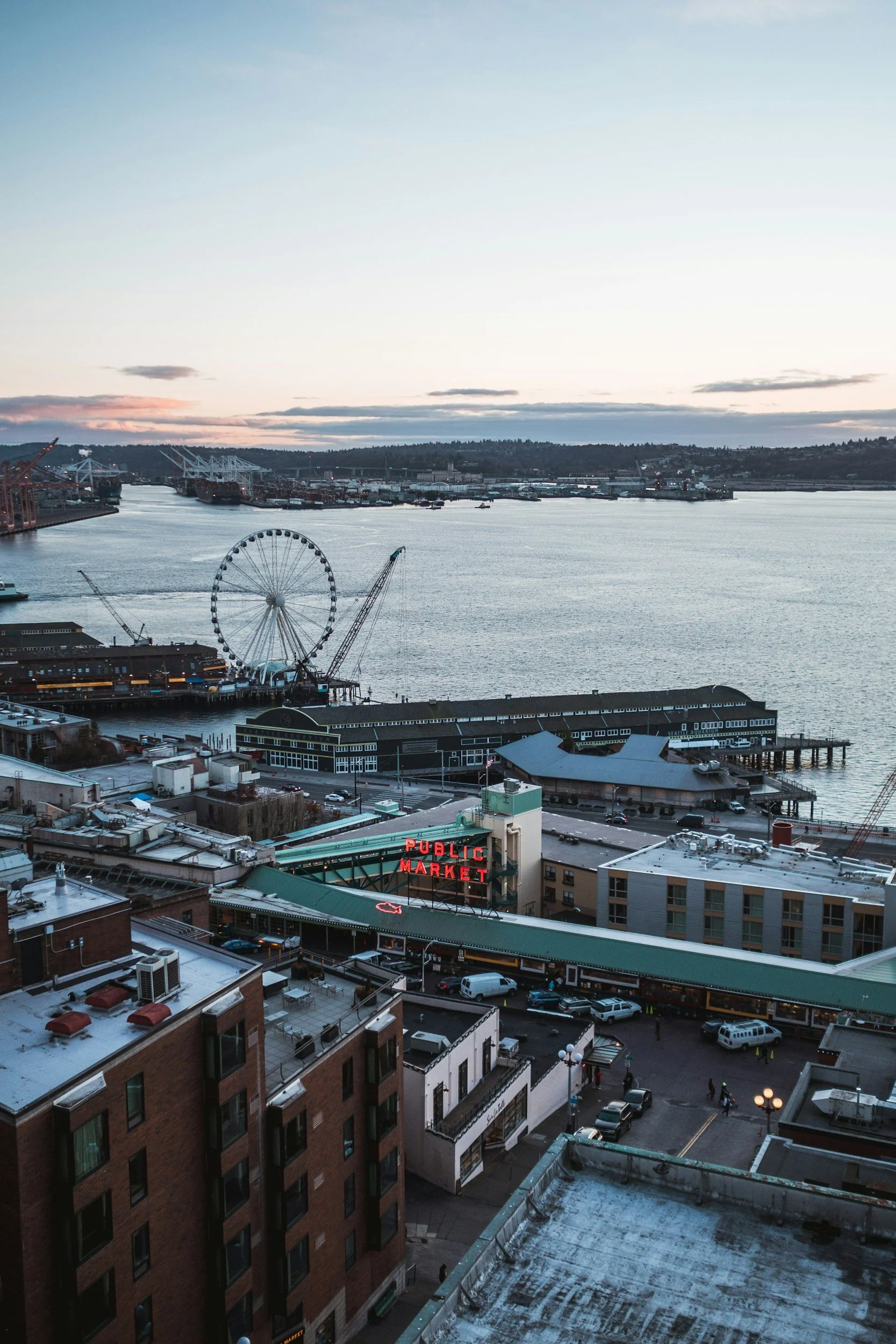 More people at home during COVID lockdowns, more wildlife sightings. But are Seattle's animals actually changing their behavior?