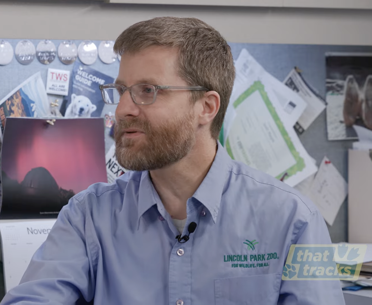 What does it mean to truly share a city with wildlife?