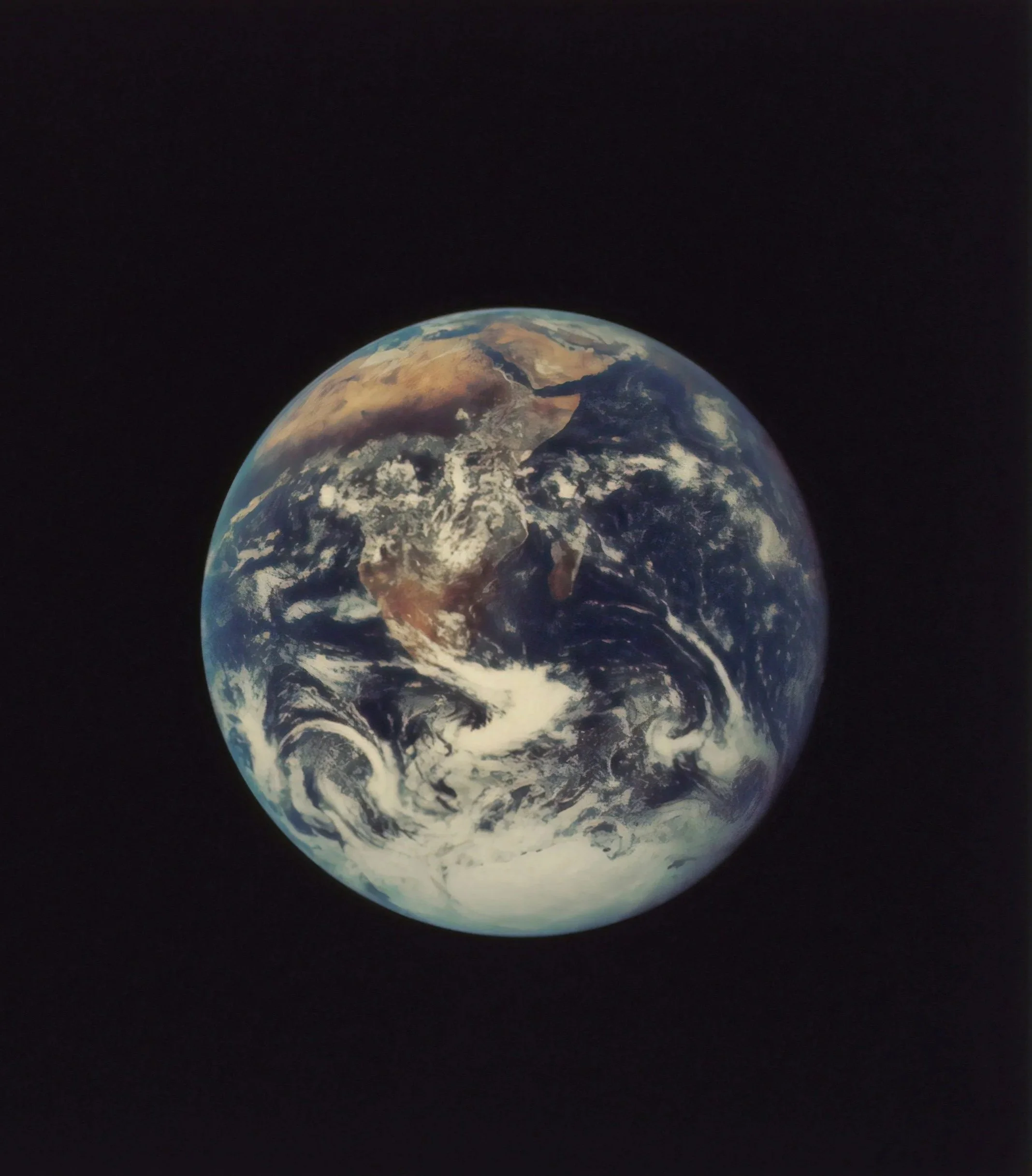 Urban Wildlife Program goes global