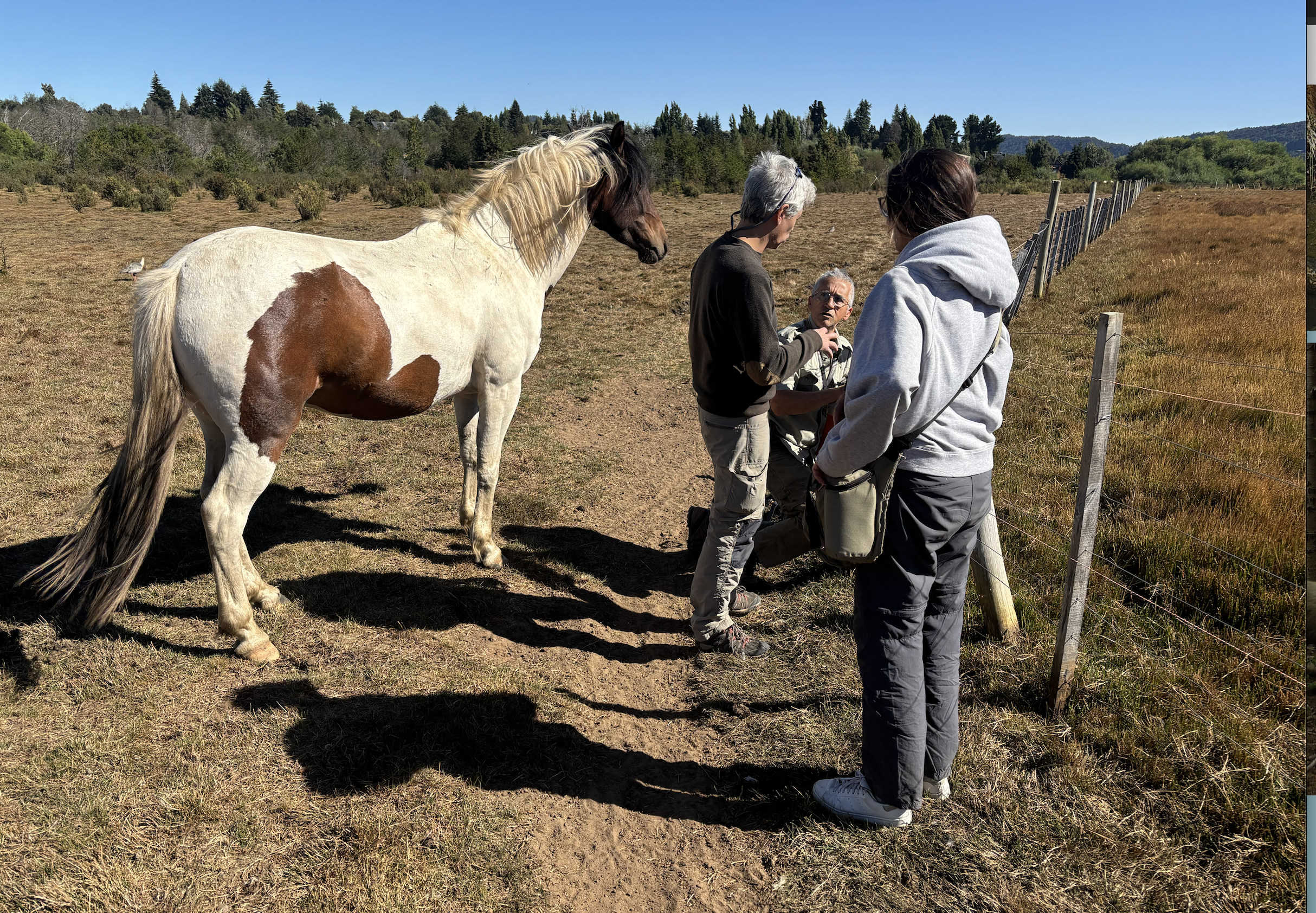 UWIN partners at work 
