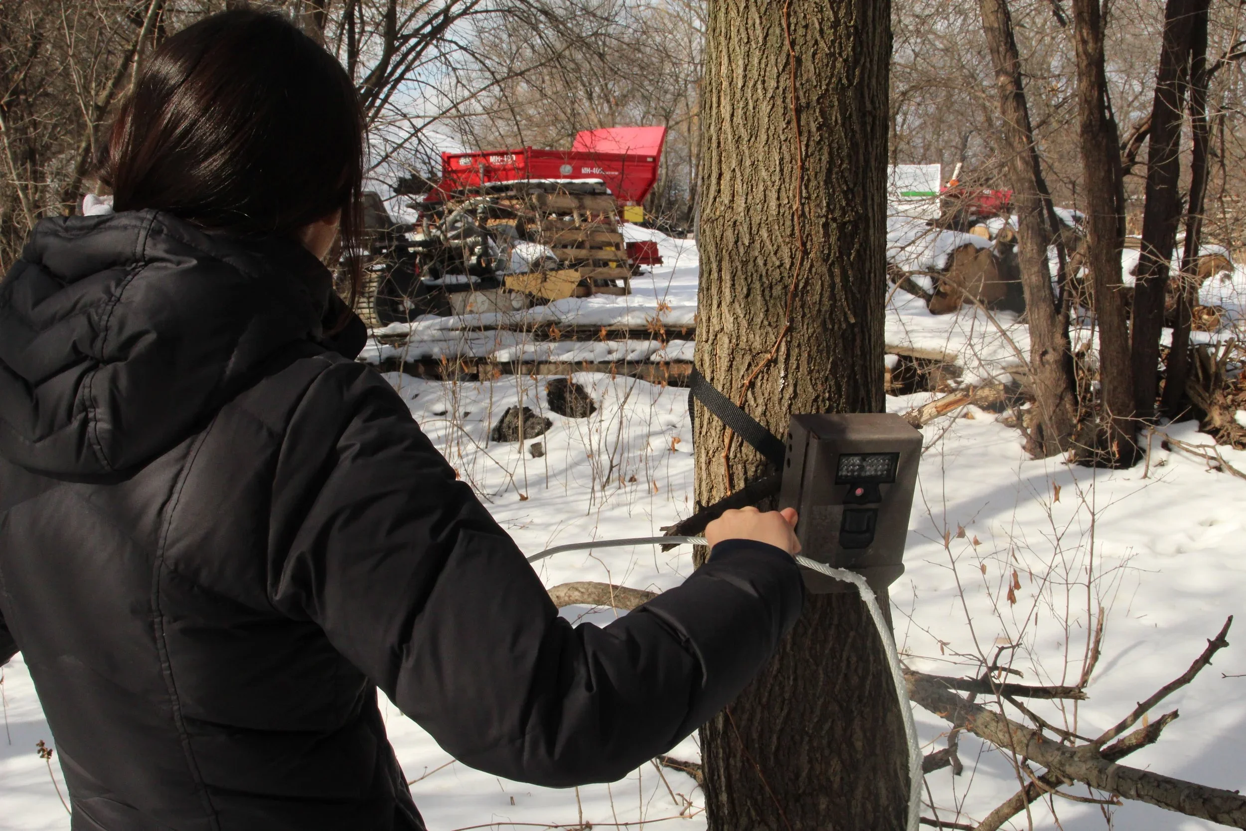 An intern setting up a UWIN camera trap