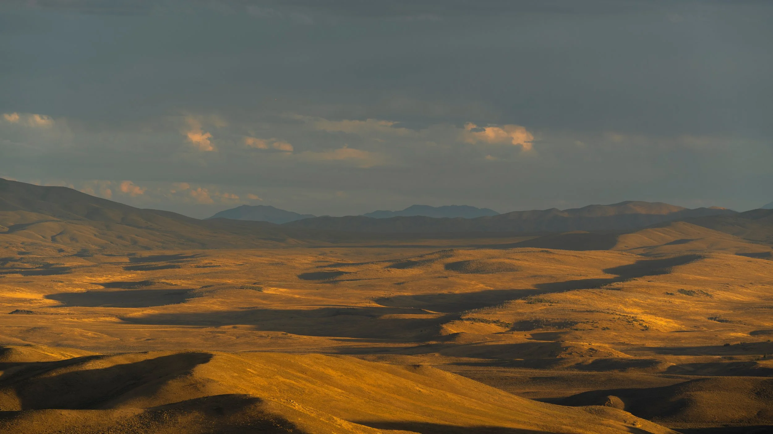 longshadows20.jpg