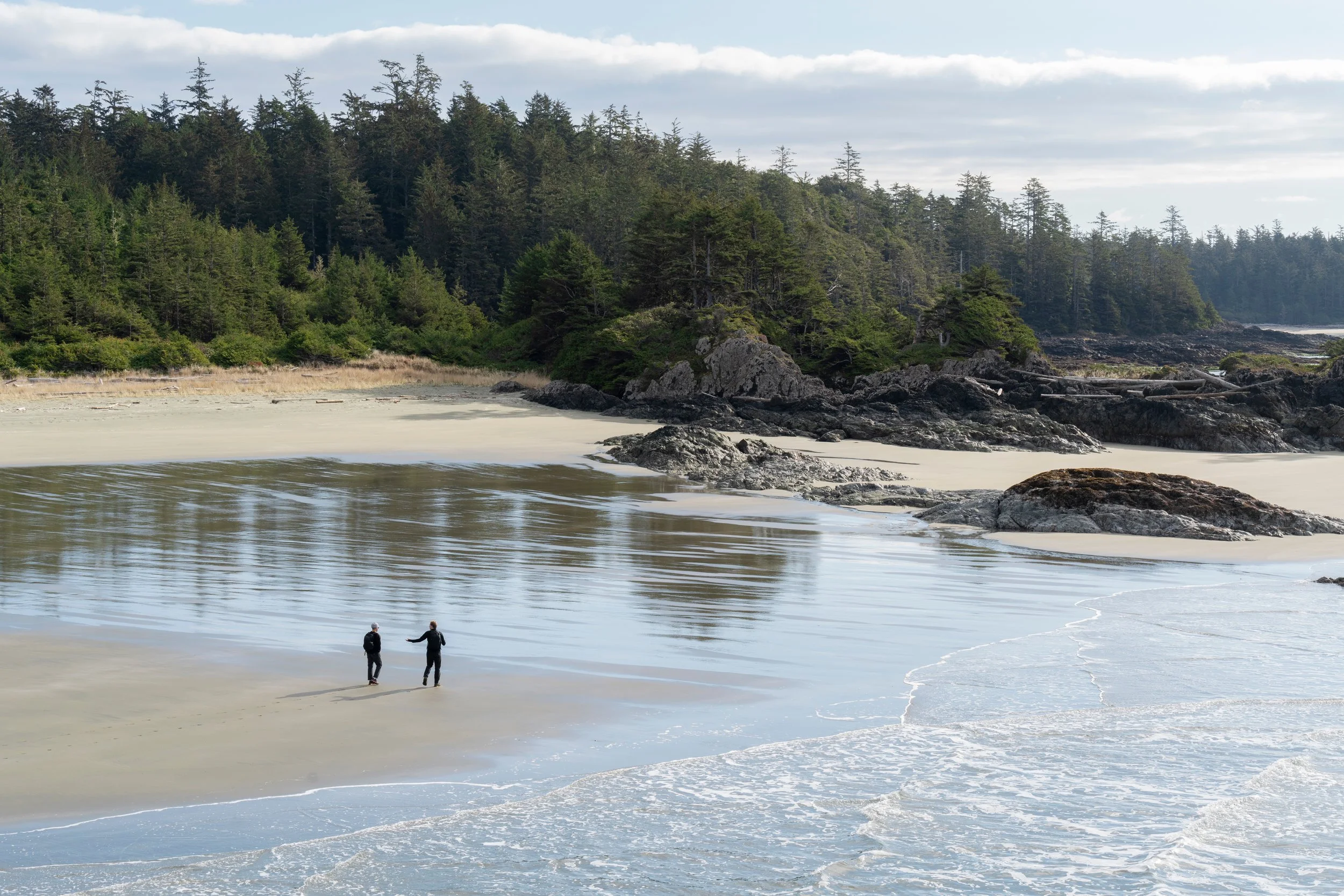 zakdextofino20.jpg