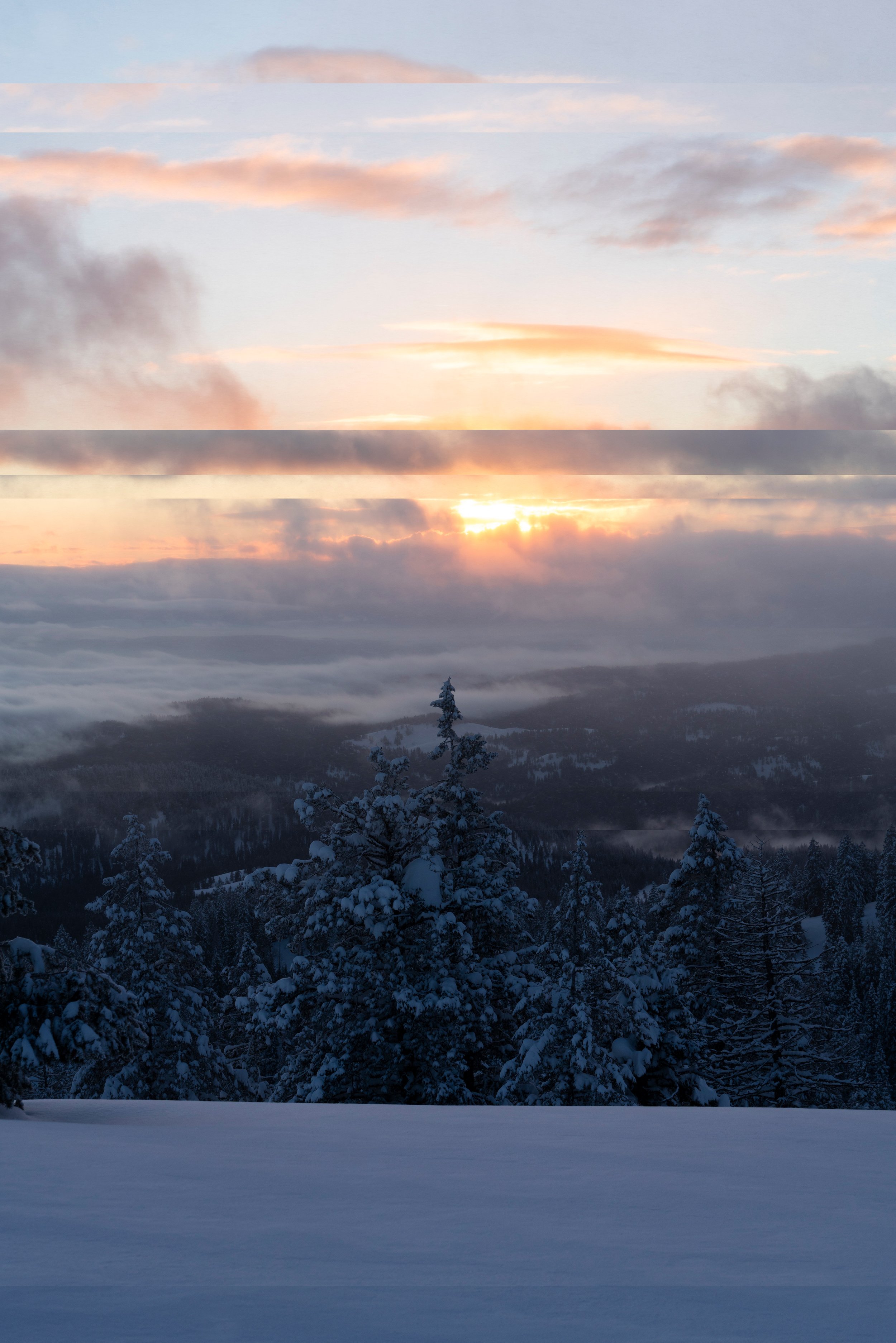 HORIZONTIAL FINAL.jpeg