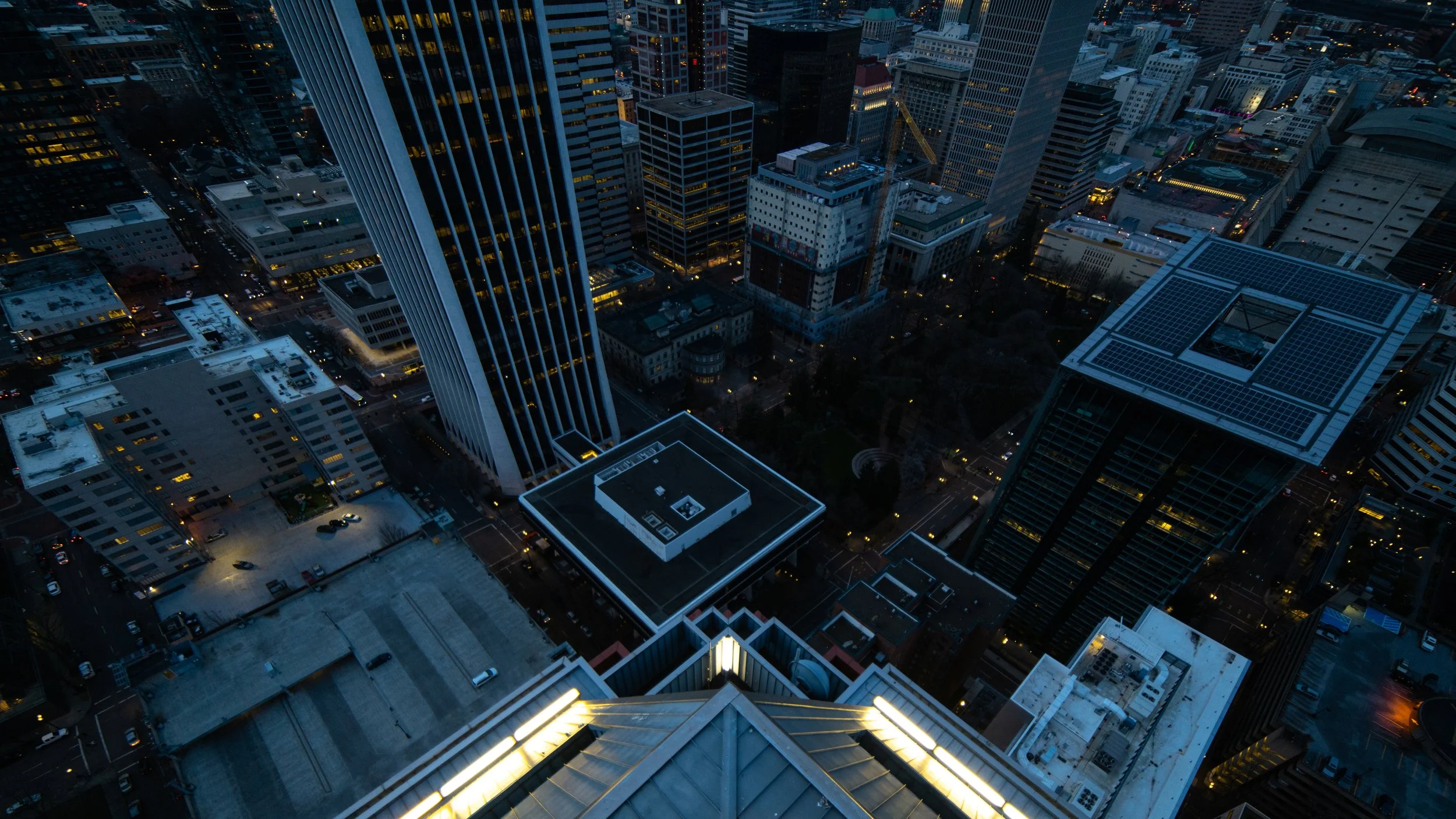 koinlookdown20.jpg