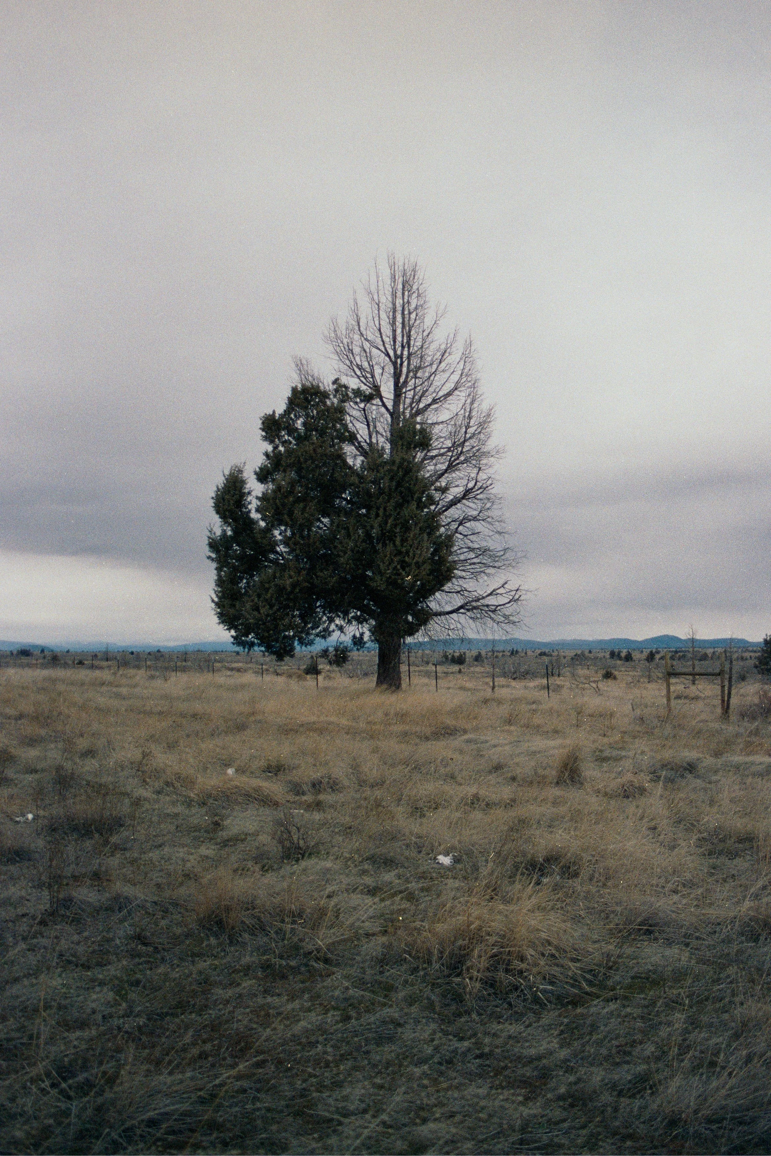 35mm, 2026