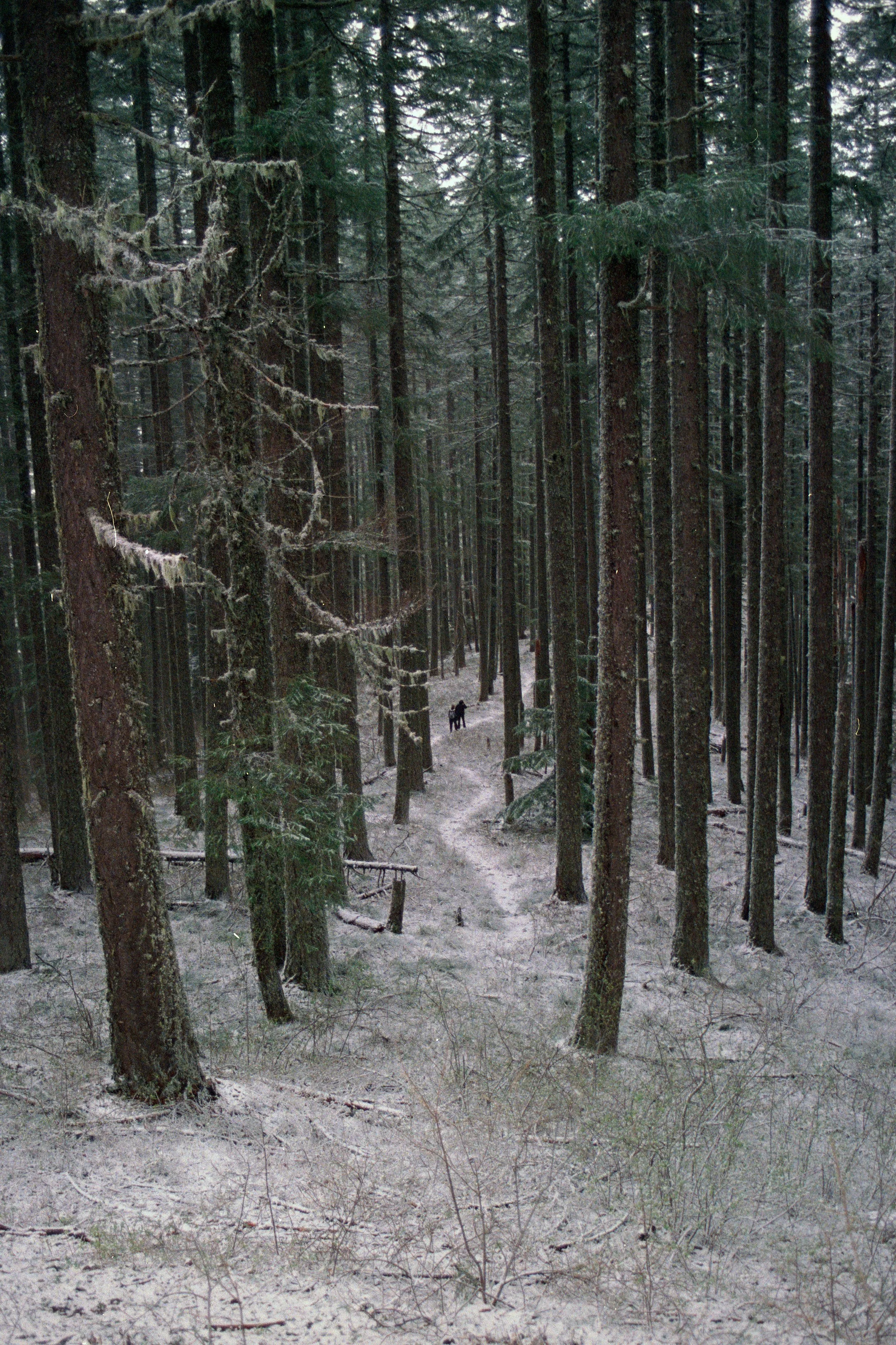 35mm, 2026
