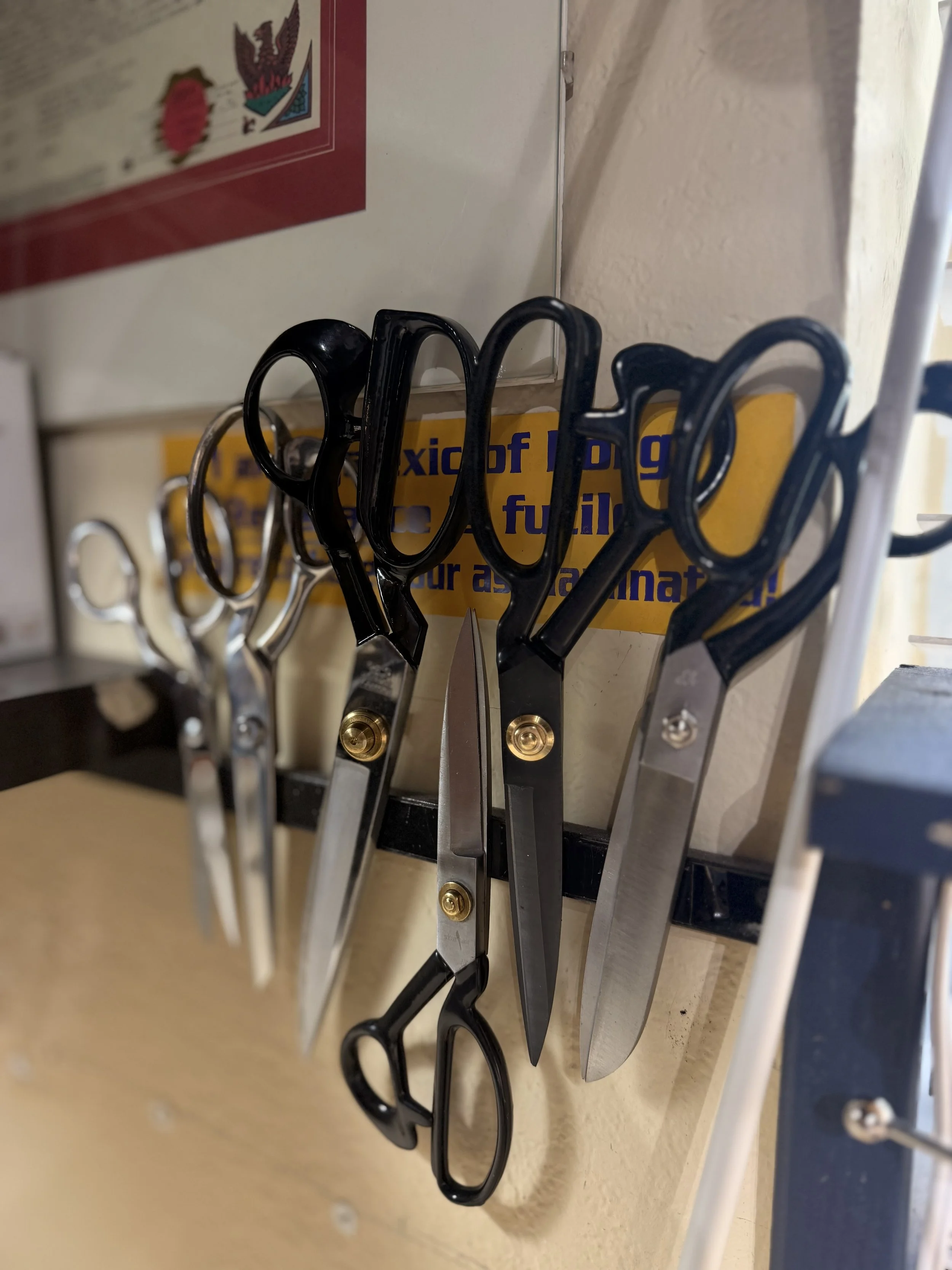 A row of scissors with black and silver handles hanging on a pegboard, with a blurry sign and a white wall in the background.