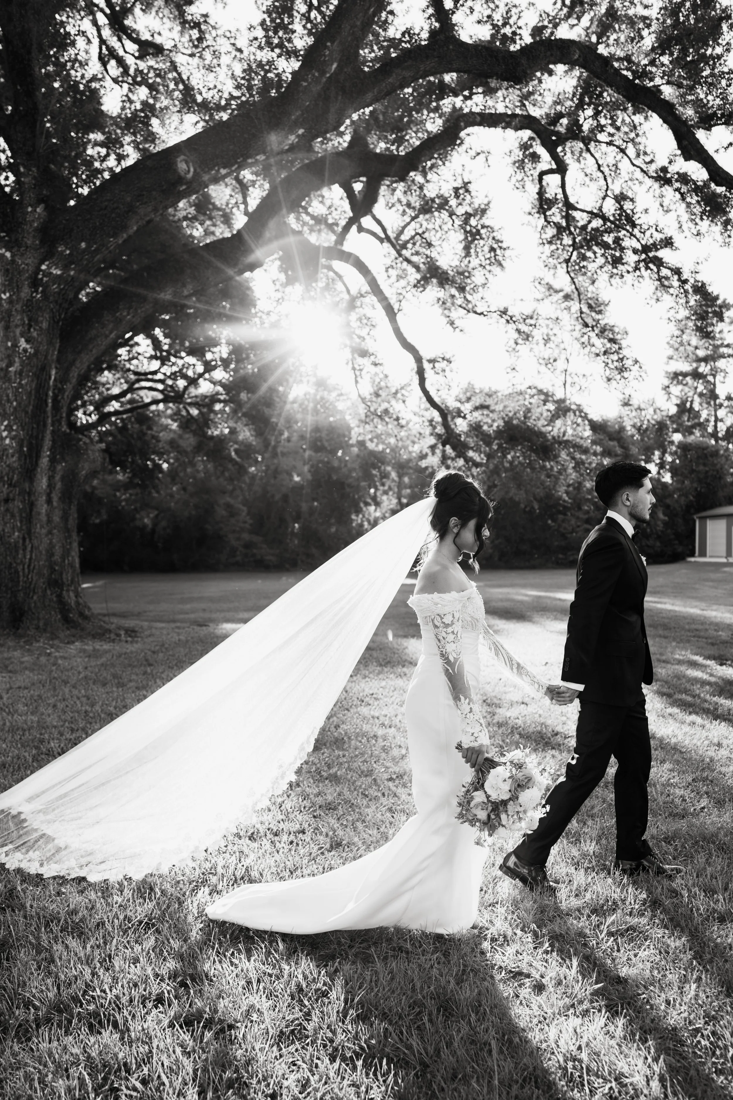 Black and white photo of a bride and groom holding hands as they walk in a grassy area under a large tree with sunlight streaming through its branches.