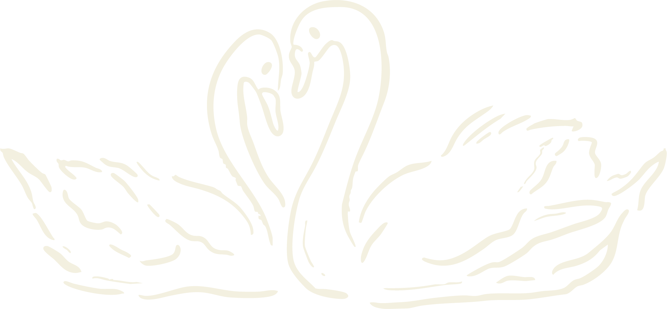 A line drawing of a blooming flower with large leaves and stems, set against a black background.