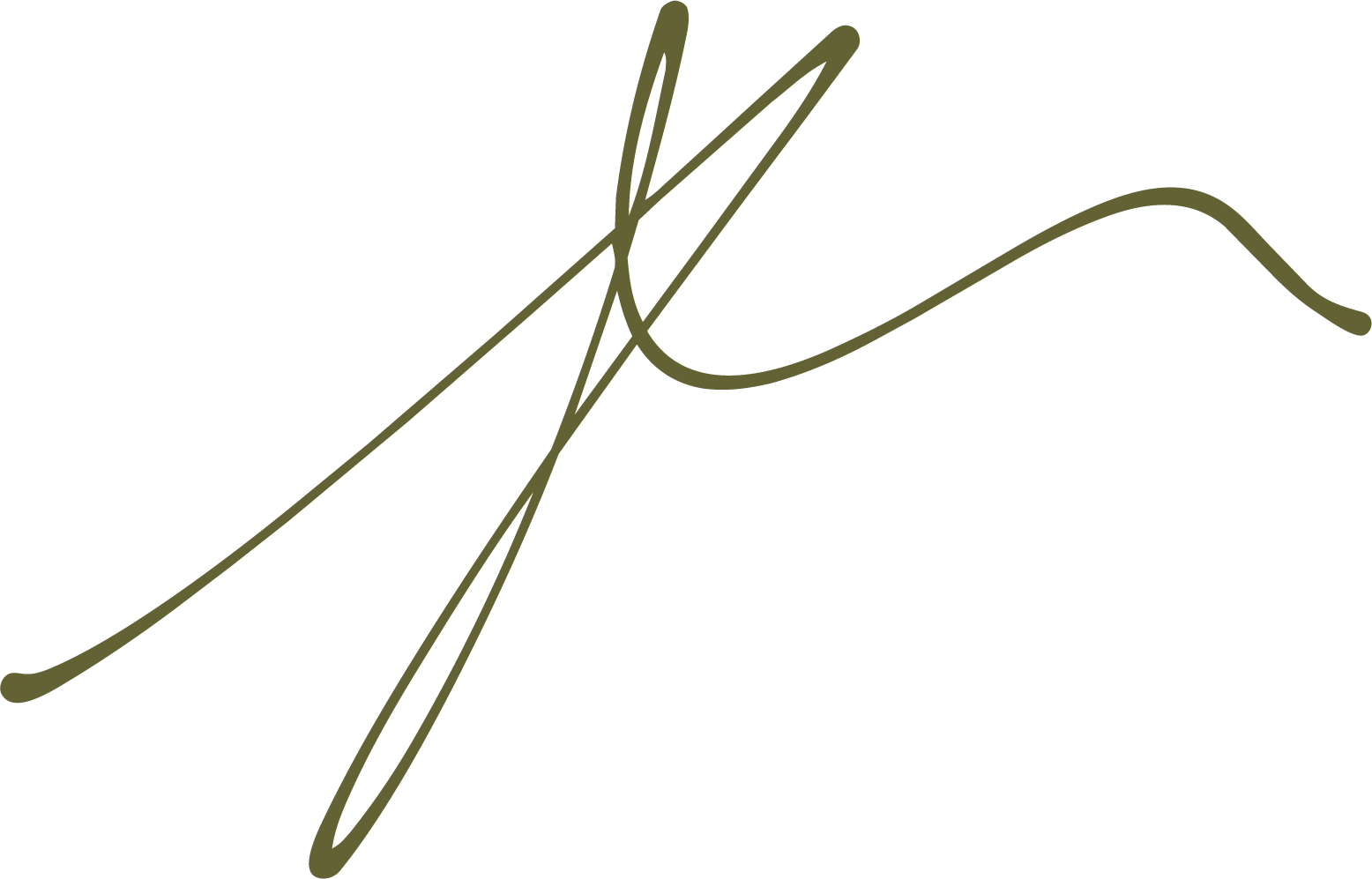 Abstract artistic line drawing with overlapping curved and straight lines in dark olive green on a transparent background.