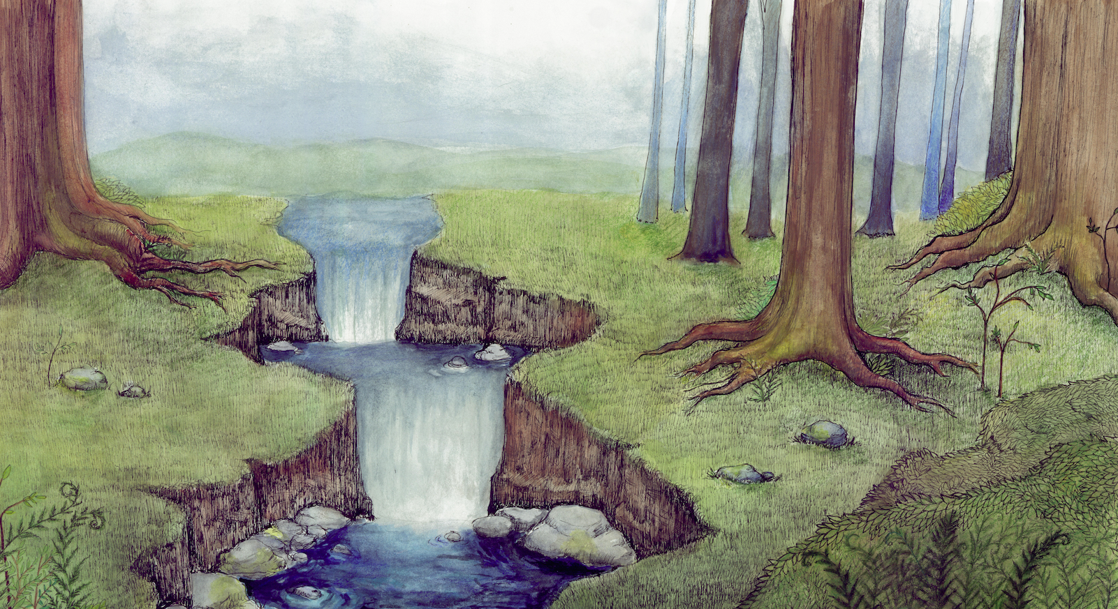 Children's Book Illustration