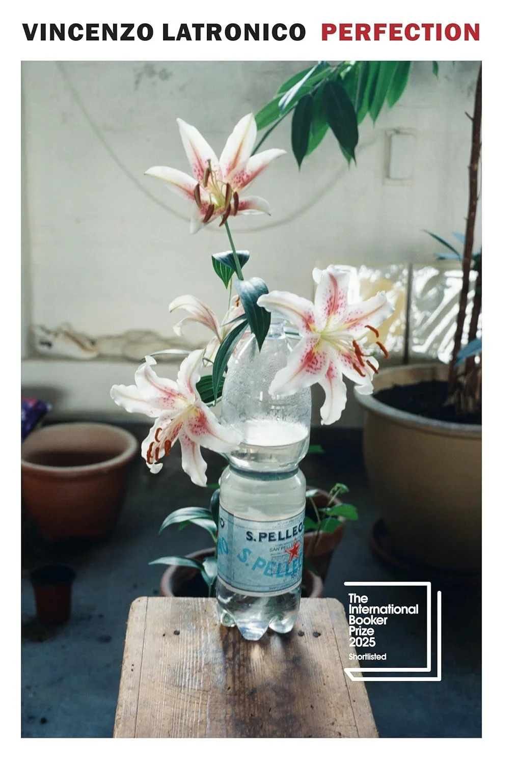 Perfection — Vincenzo Latronico