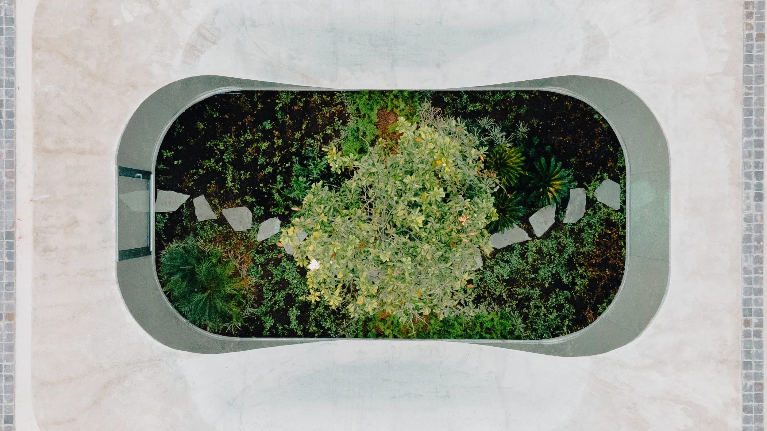 EFE ARCHITECTURE.jpg