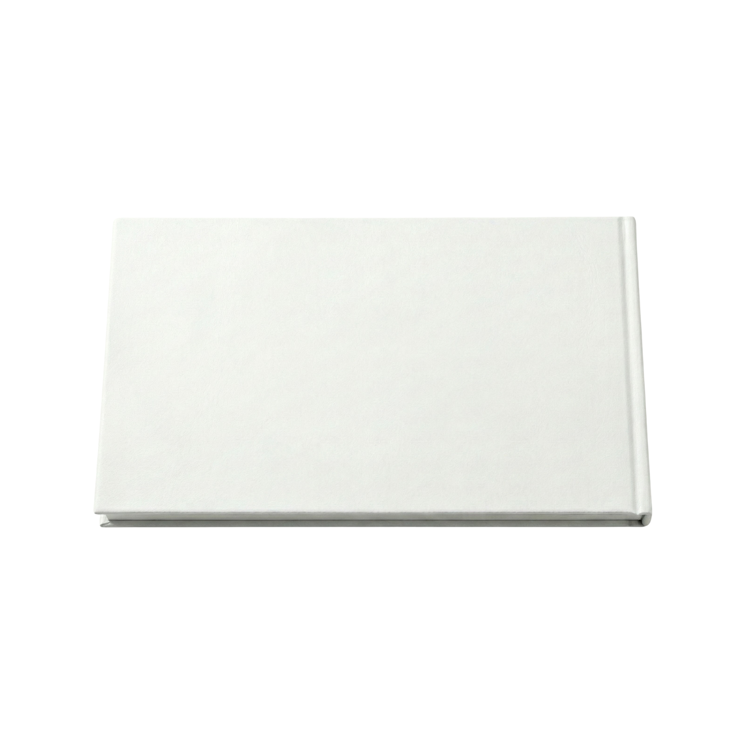 Untitled design (2) copy.png