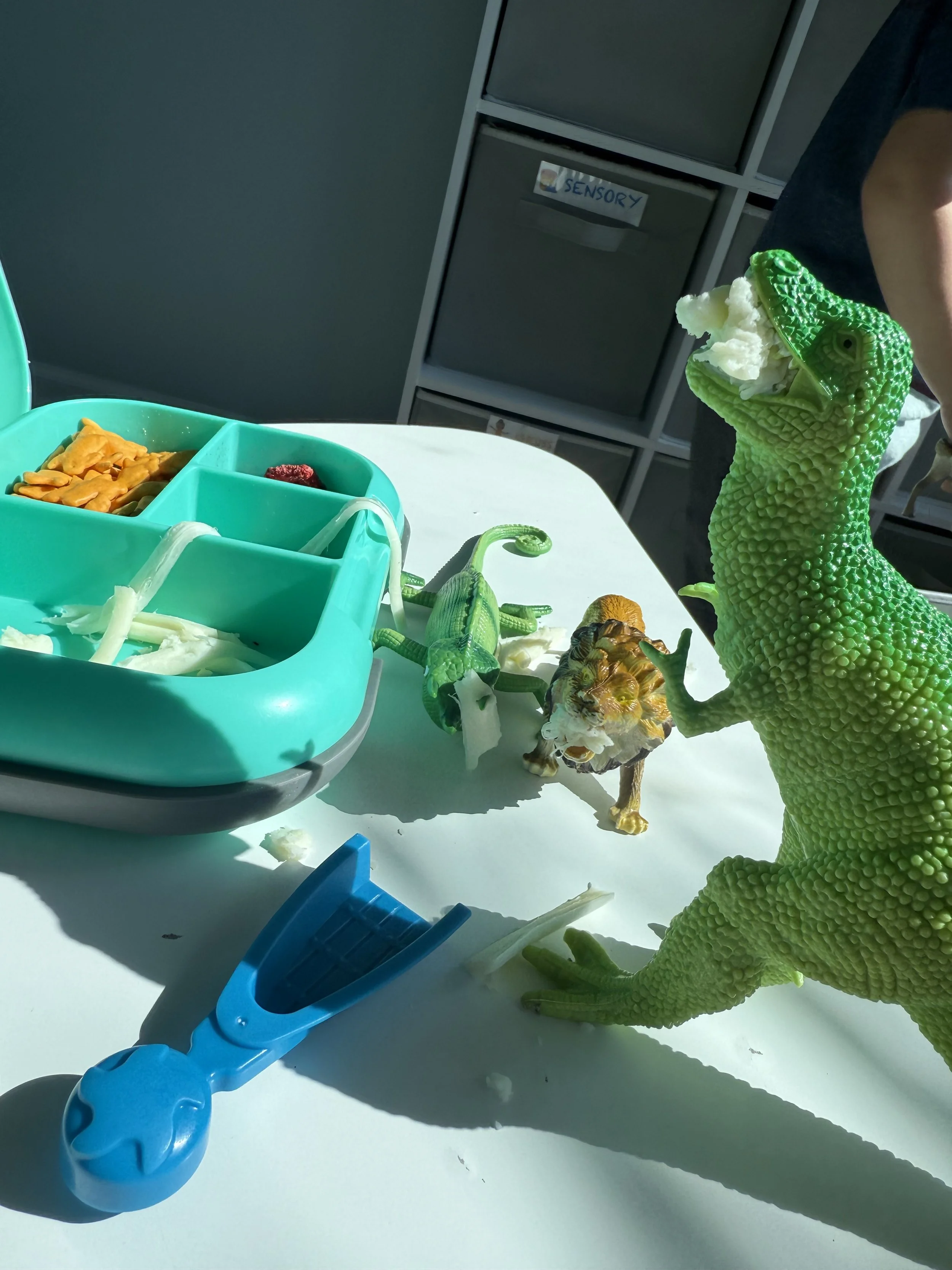 Toy dinosaurs eating from a plastic food set on a white table, with compartments containing pretend food and toy gardening tools in the background.