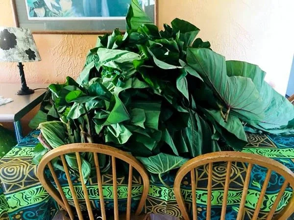 Pacific Worlds [blog]