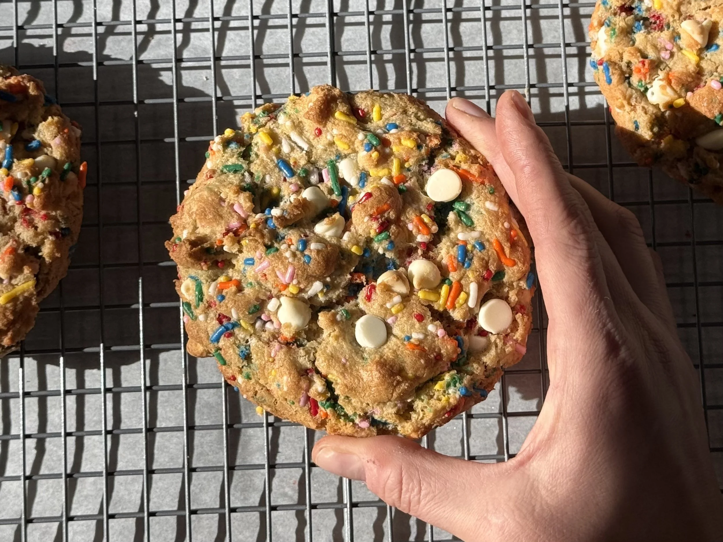 birthday cake cookie in hand.jpg