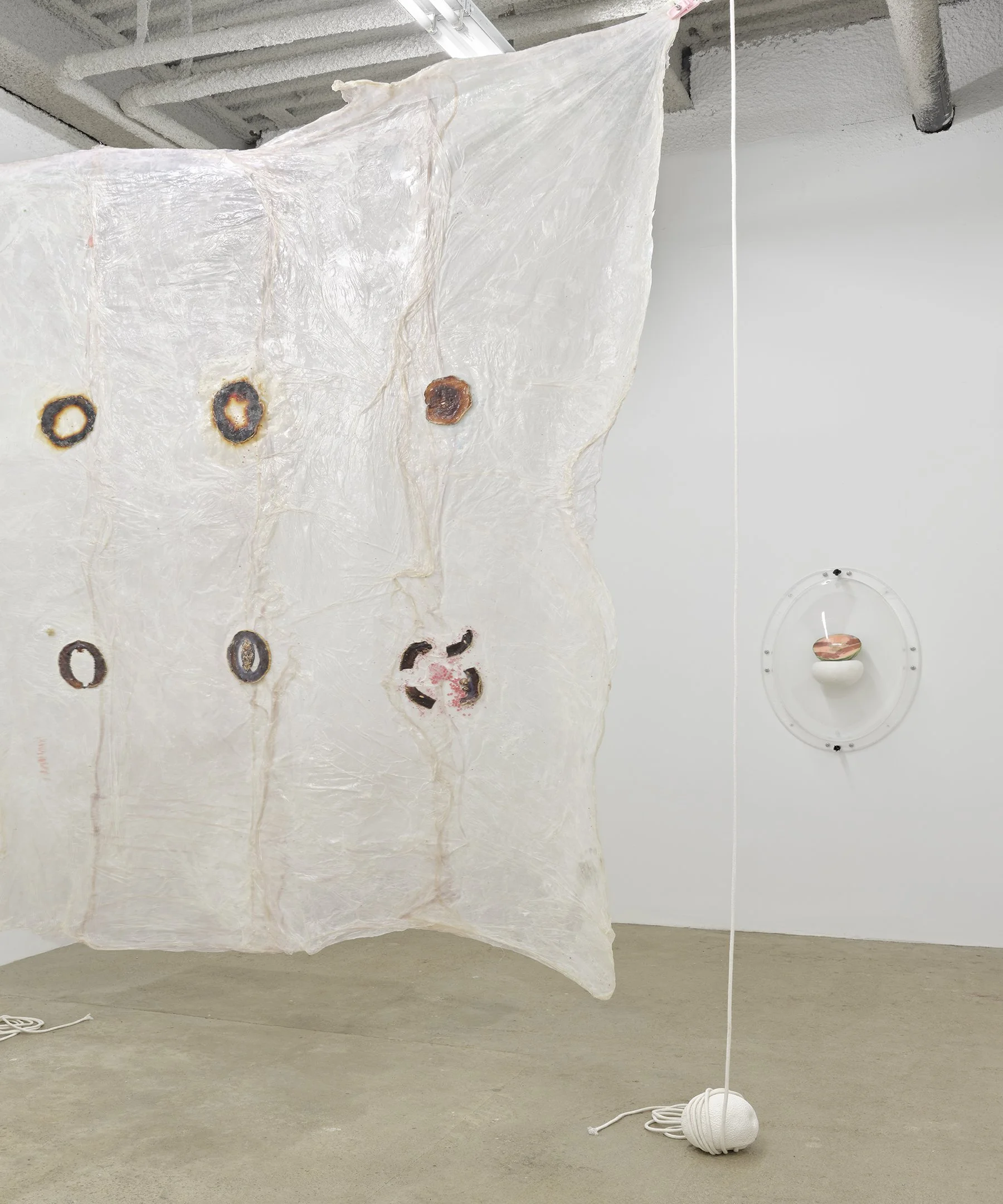 Untitled, 2021, Materials: Collagen dyed with Gatorade, glass beads, plastic doll heels, toy jellyfish, horseshoe crab, glitter, sprinkles, dried melon, agar agar, glycerin, baby powder,
clear rubber bands, scrotum clamps, cotton rope, cast plaster m