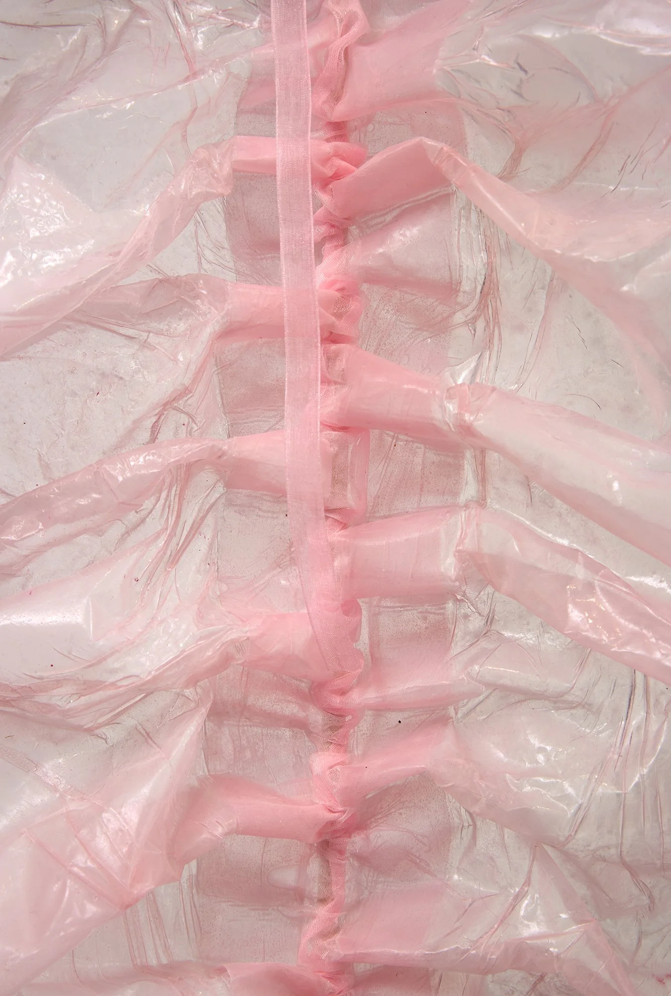 Pinkie (study), 2022