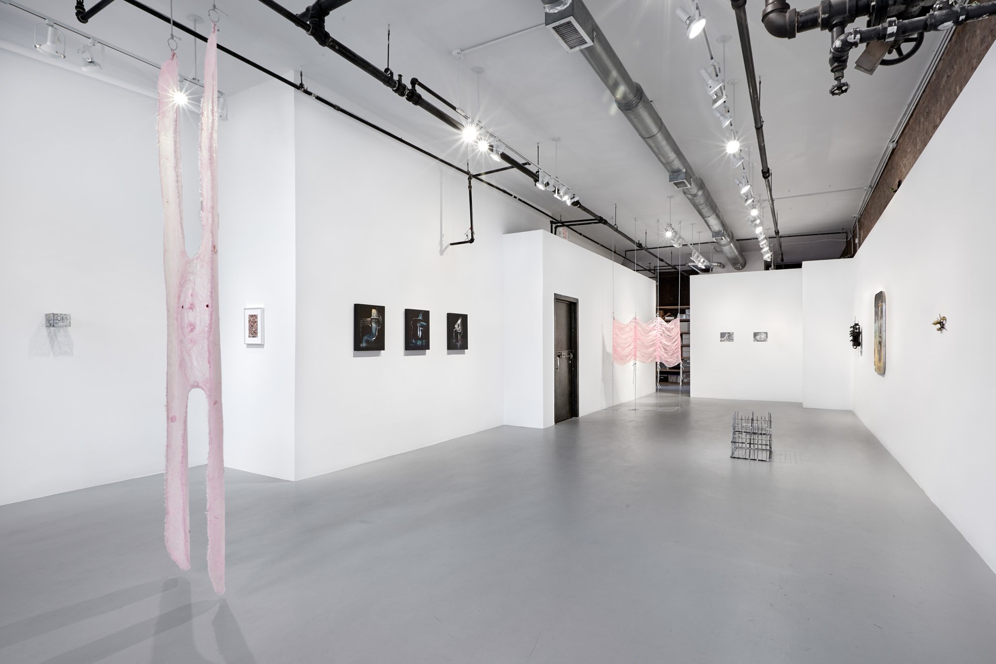 Pinkie (study), 2022