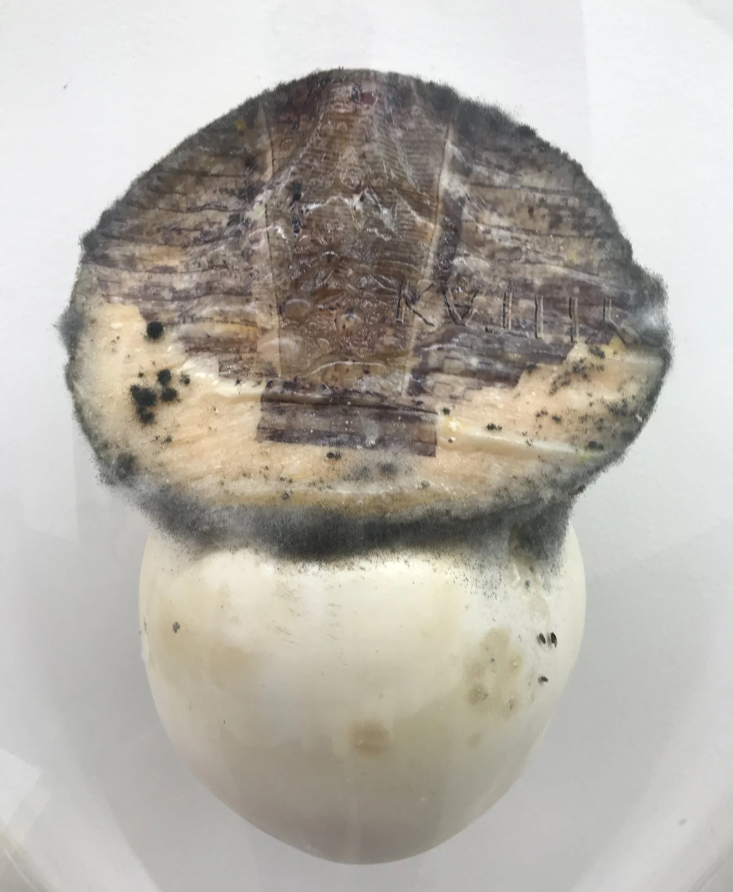 Keeper (detail), 2021