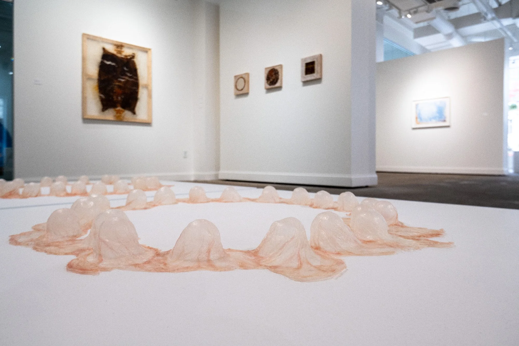 Puberty on Pearblossom, 2024
gallon of water, collagen, 9" x 9" x 12"
Installed in "West Follies," solo exhibition in Fort Worth, TX