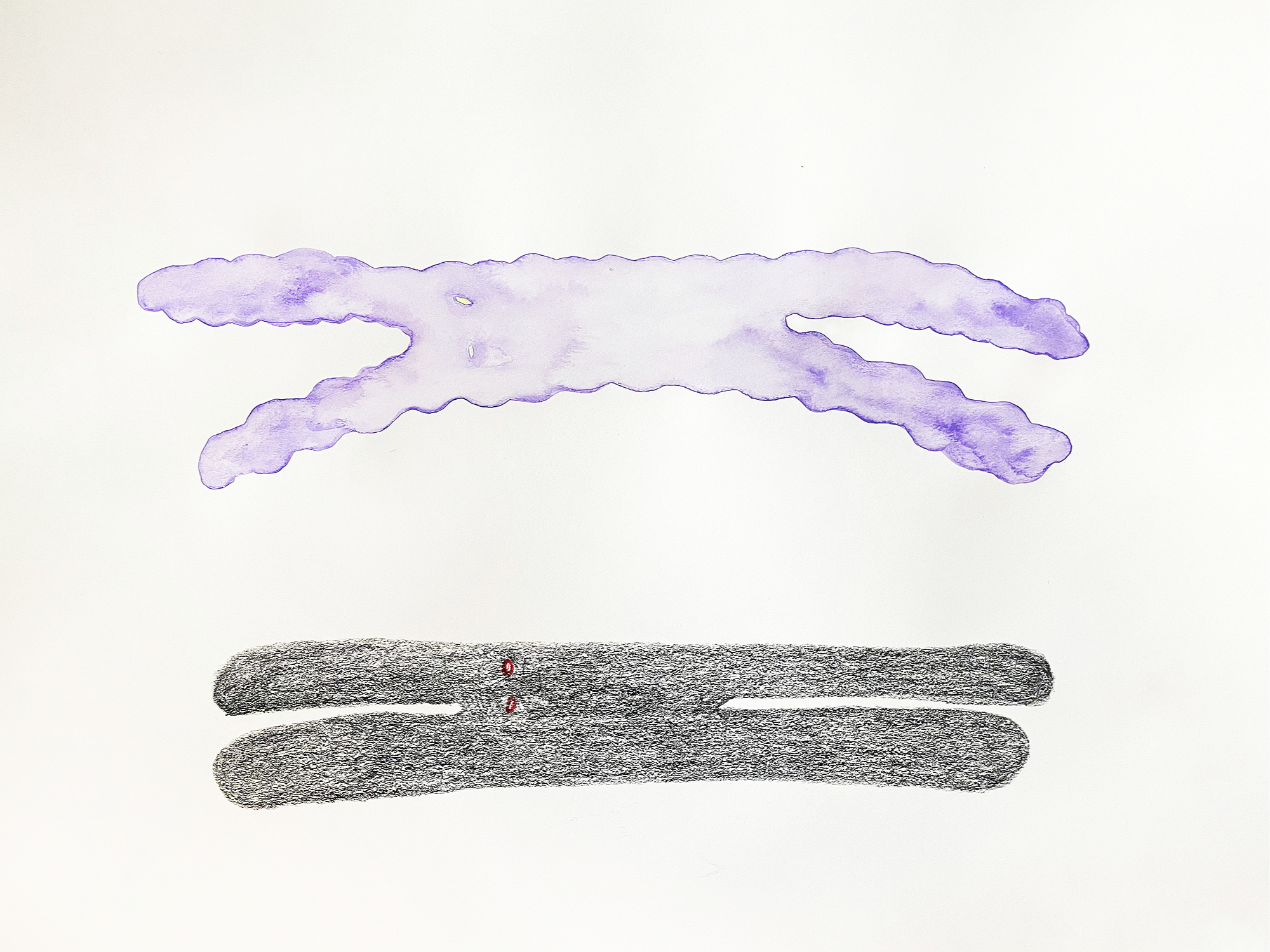 Strawberry Legs sketch