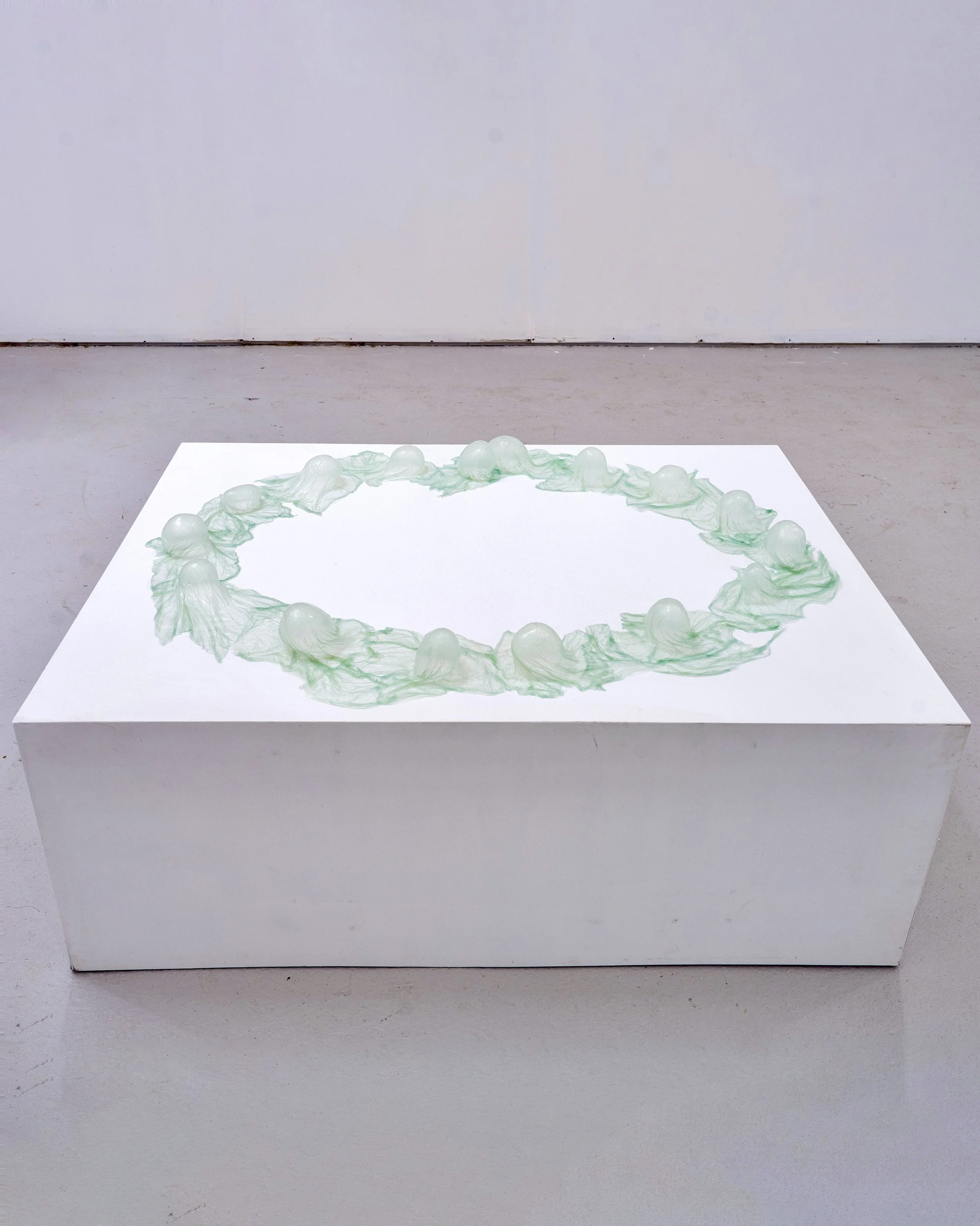 still life naughty potatoes, 2025
Collagen, potatoes, 54" x 40" x 3"
Site specific installation at Hesse Flatow East, NY