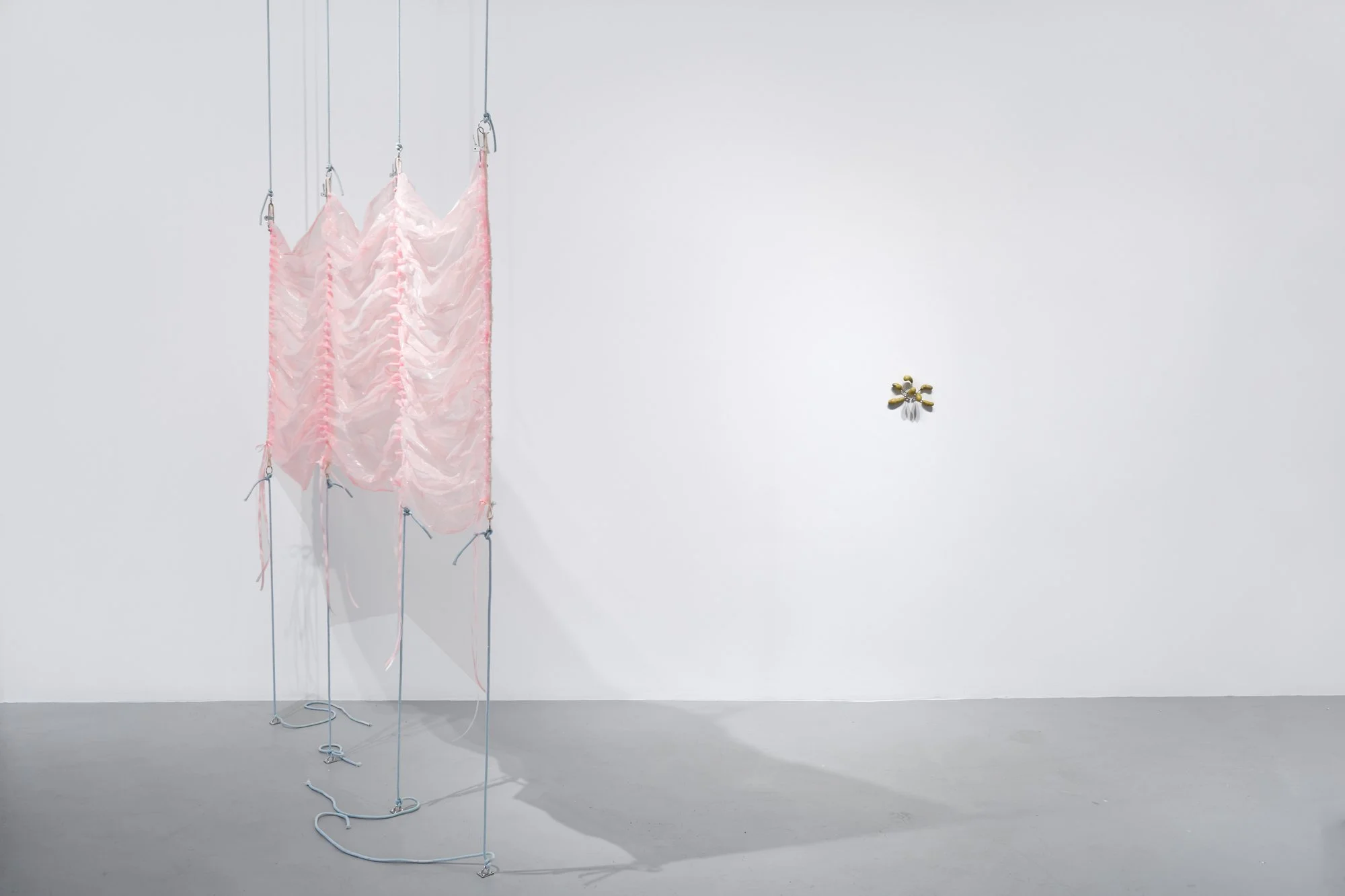 Pinkie (study), 2022