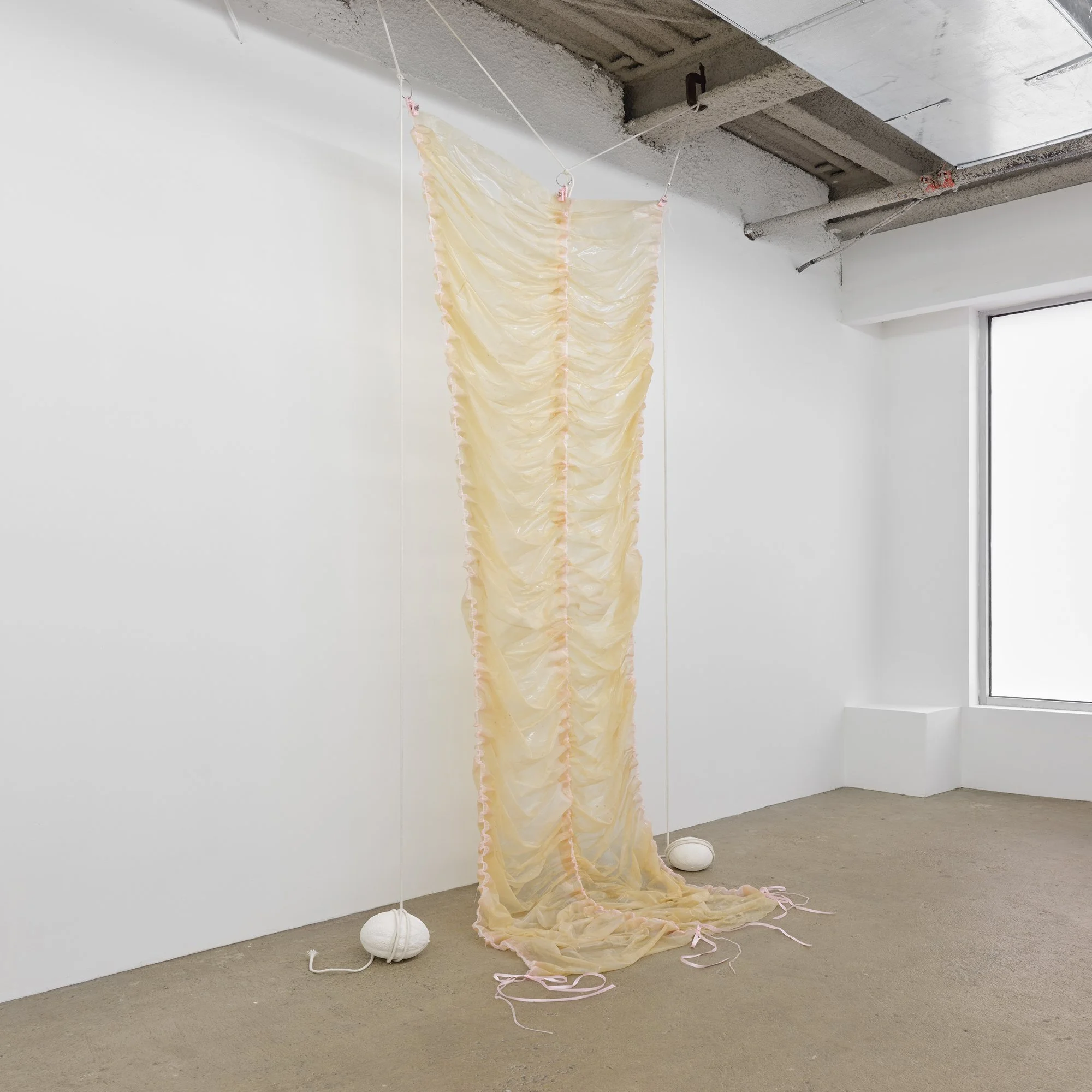 Piece of Pinkie II, 2021. Collagen dyed with soda, silicone, baby powder, ribbon, flesh clamps, cotton rope, plaster melons
124" x 52" x 36". Installed in "Melon Skin" at M23 gallery in NYC. 