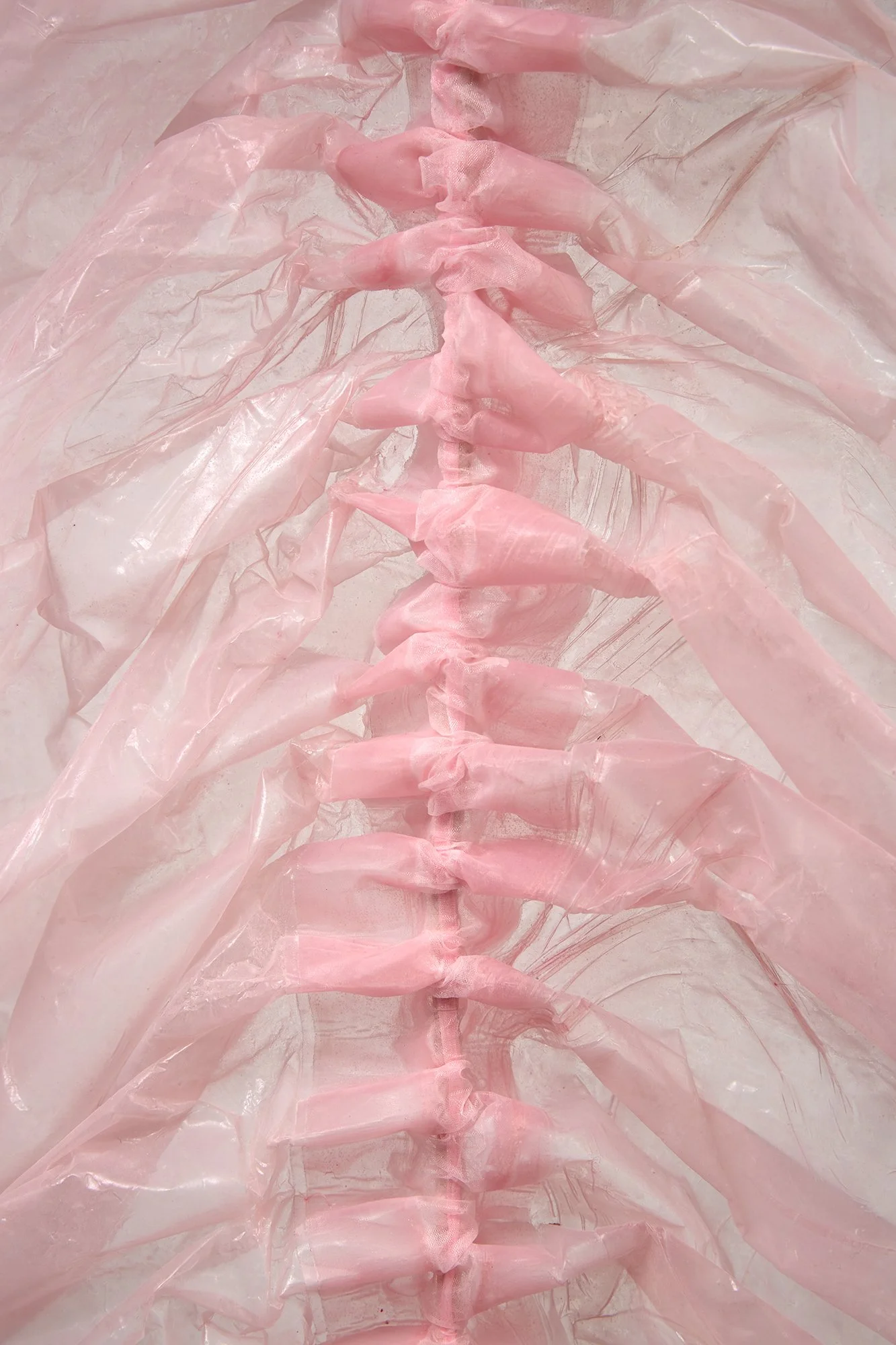 Pinkie (study), 2022