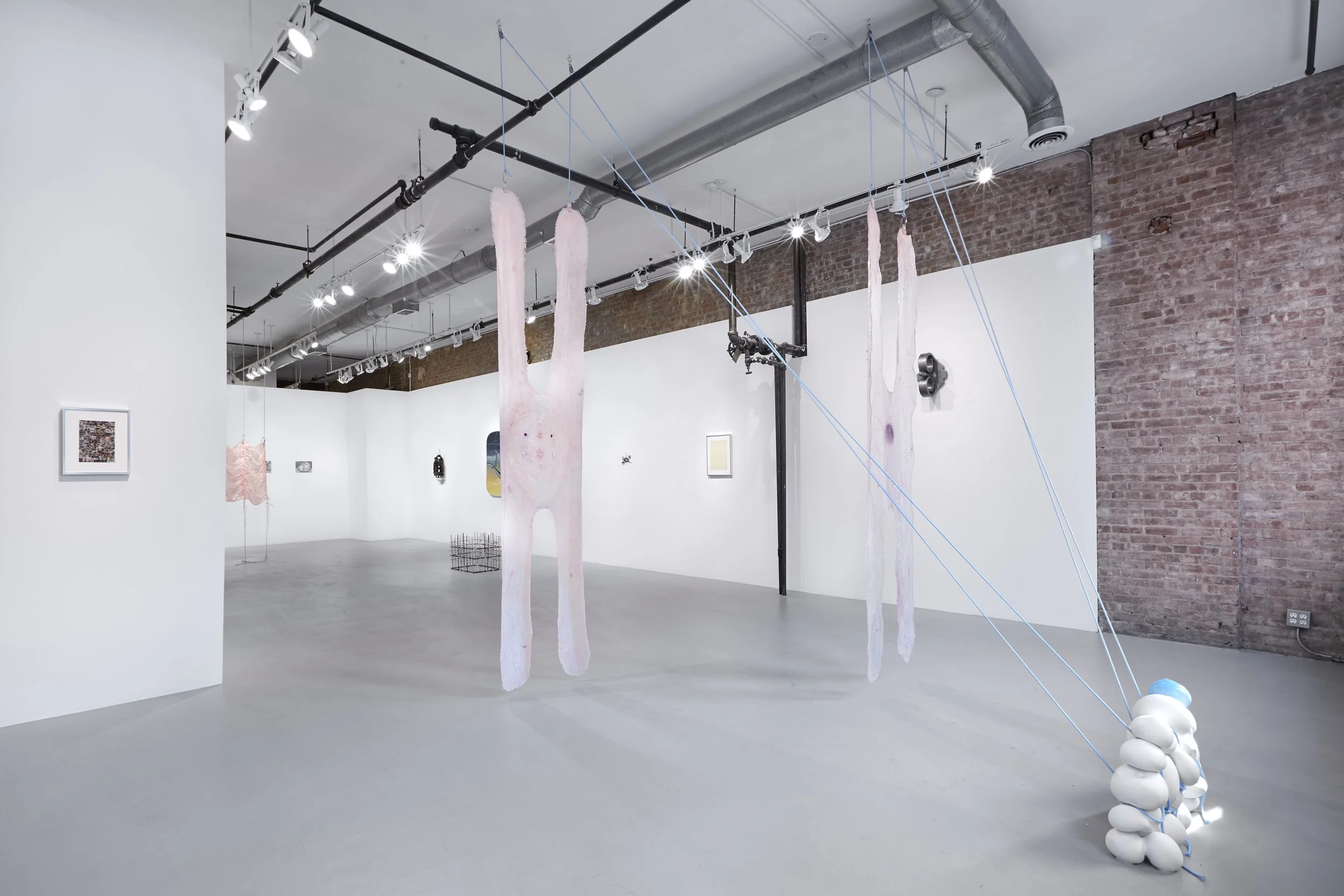 Strawberry Legs II & III, Viscera (2022)