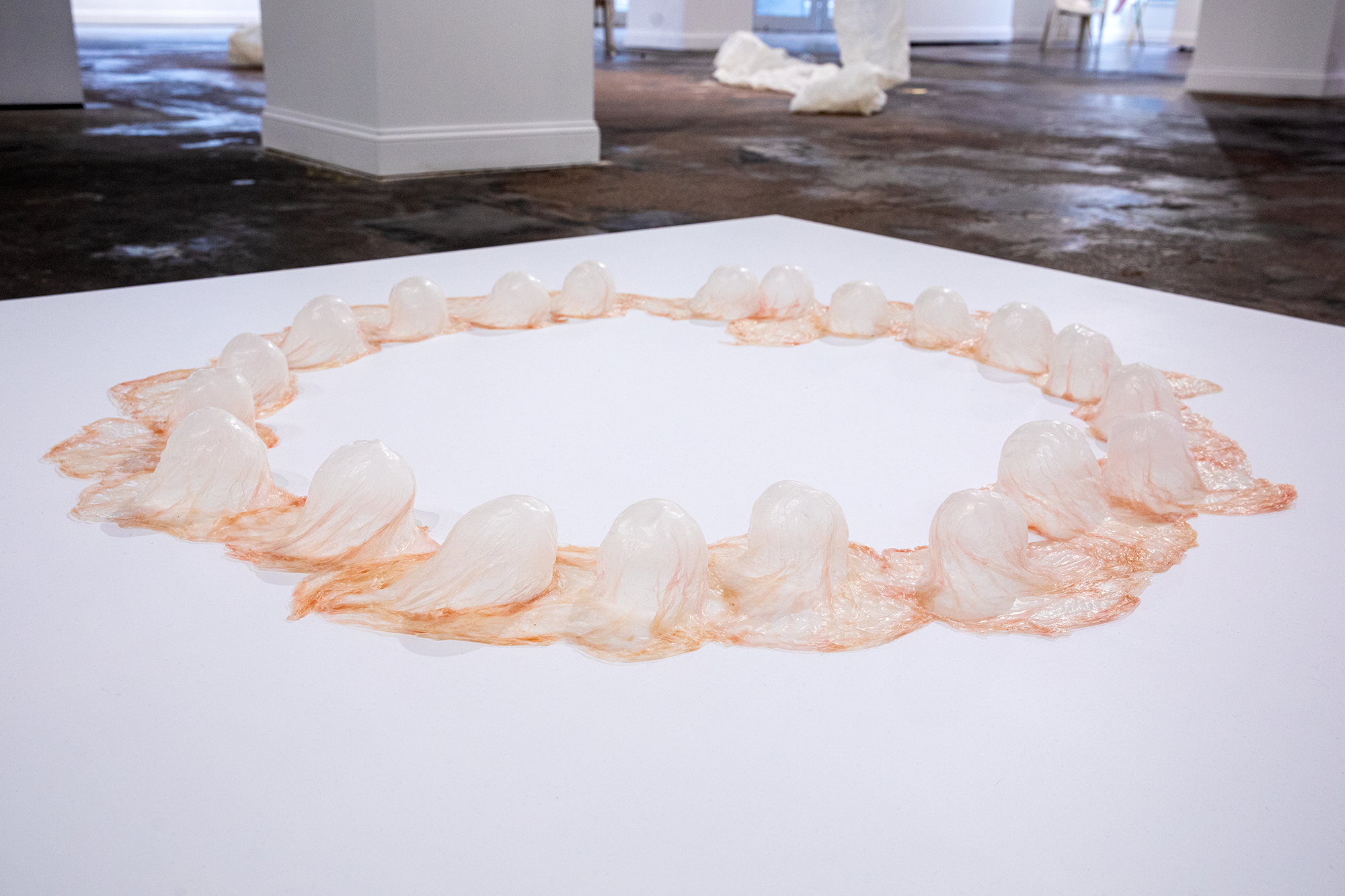 Puberty on Pearblossom, 2024