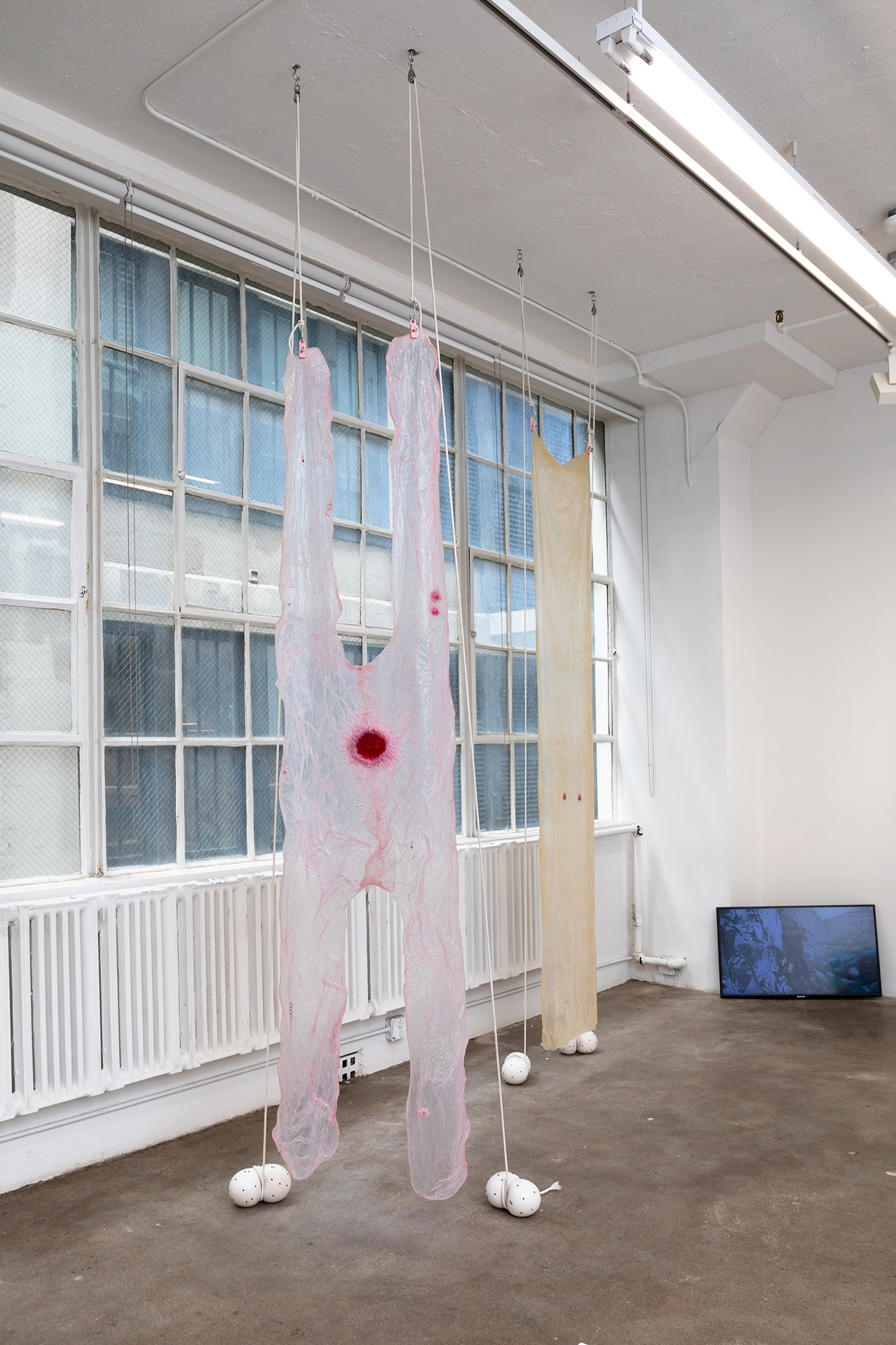 Strawberry Legs I & II, Augurhythms (2022)