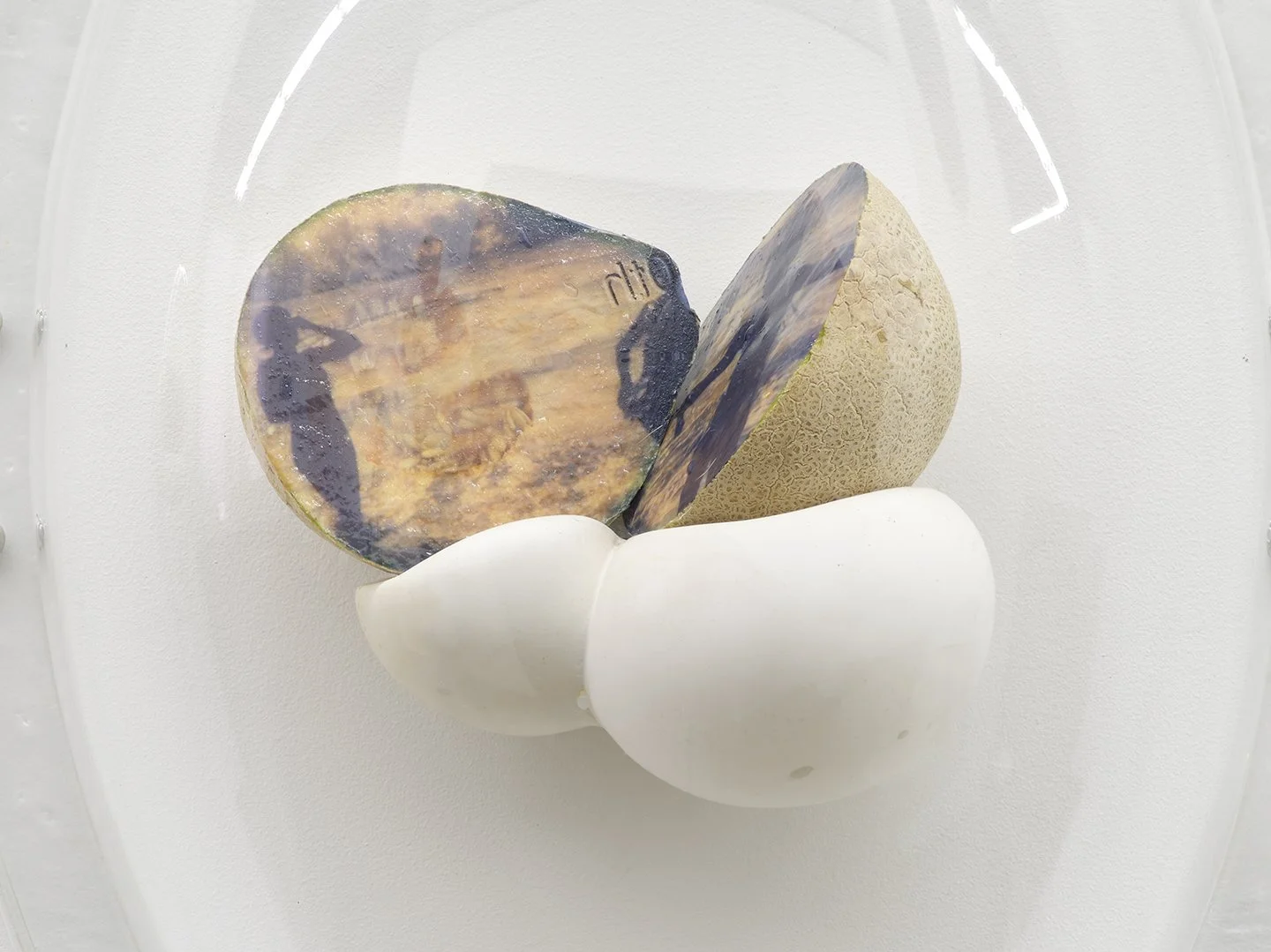 Keeper Series, 2021, Series of 6 installed in "Melon Skin", Materials: Found photograph, melon, collagen, glass beads, plaster, plexiglass, resin, hardware, 29" x 20" x 8 "
