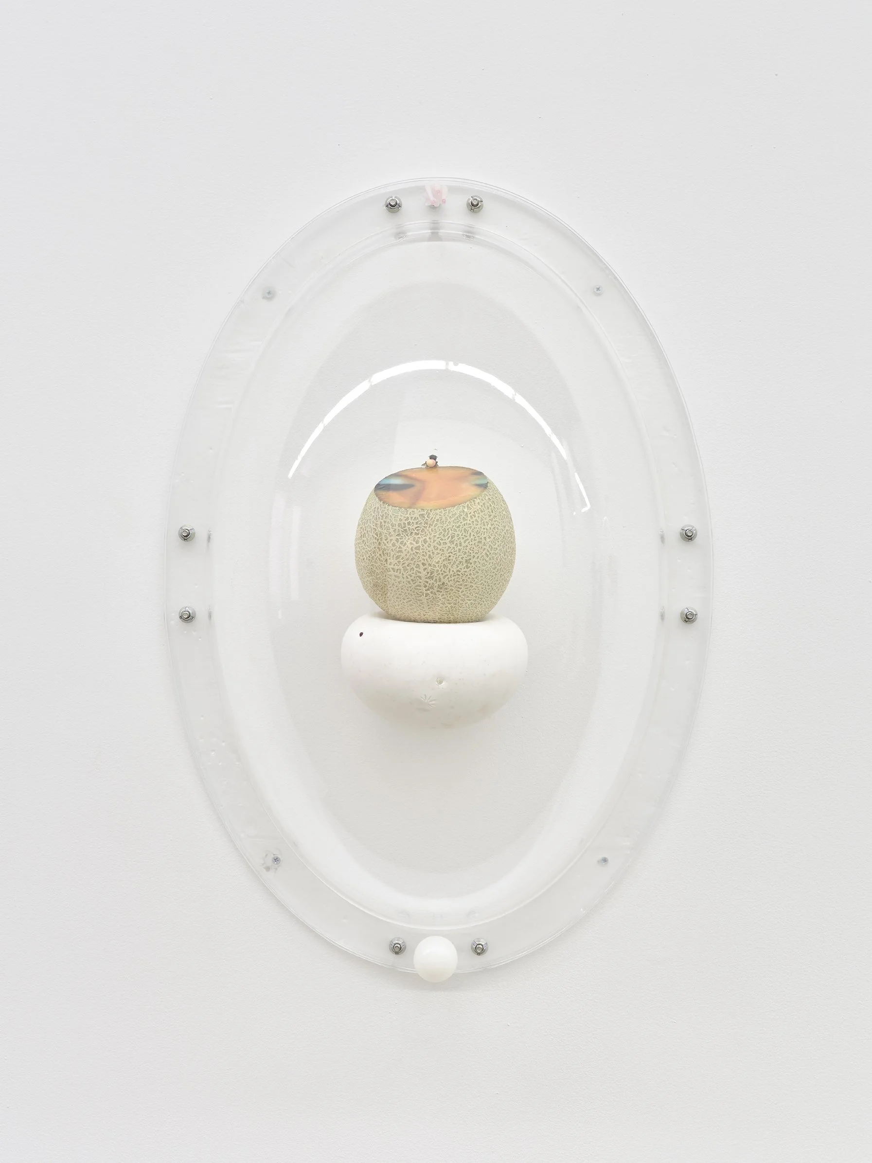 Keeper Series, 2021, Series of 6 installed in "Melon Skin", Materials: Found photograph, melon, collagen, glass beads, plaster, plexiglass, resin, hardware, 29" x 20" x 8 "
