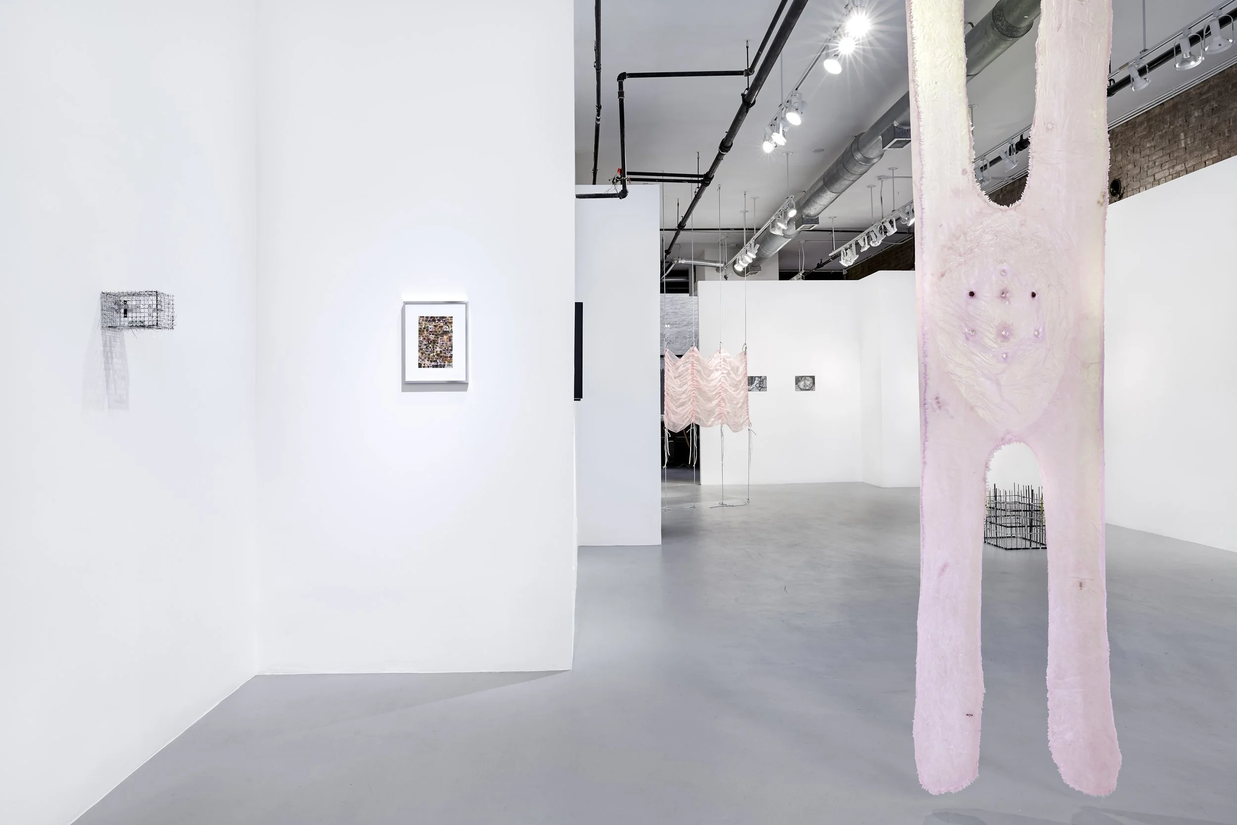 Strawberry Legs III, Viscera (2022)