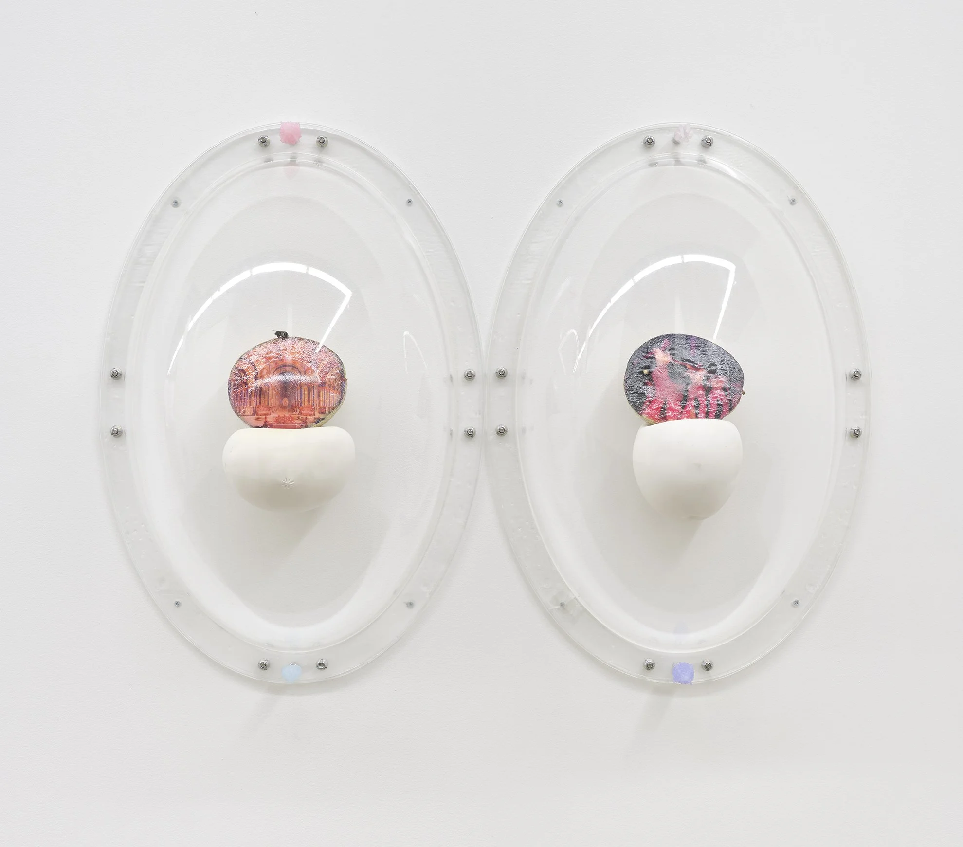 Keeper Series, 2021, Series of 6 installed in "Melon Skin", Materials: Found photograph, melon, collagen, glass beads, plaster, plexiglass, resin, hardware, 29" x 20" x 8 "