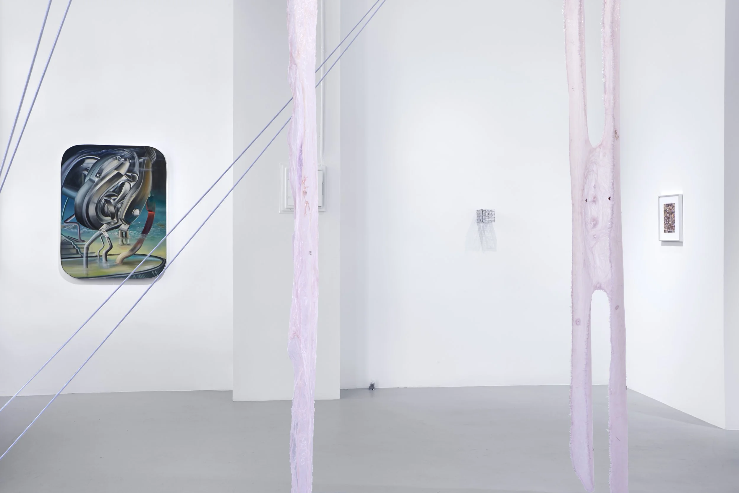 Strawberry Legs II & III, Viscera (2022)