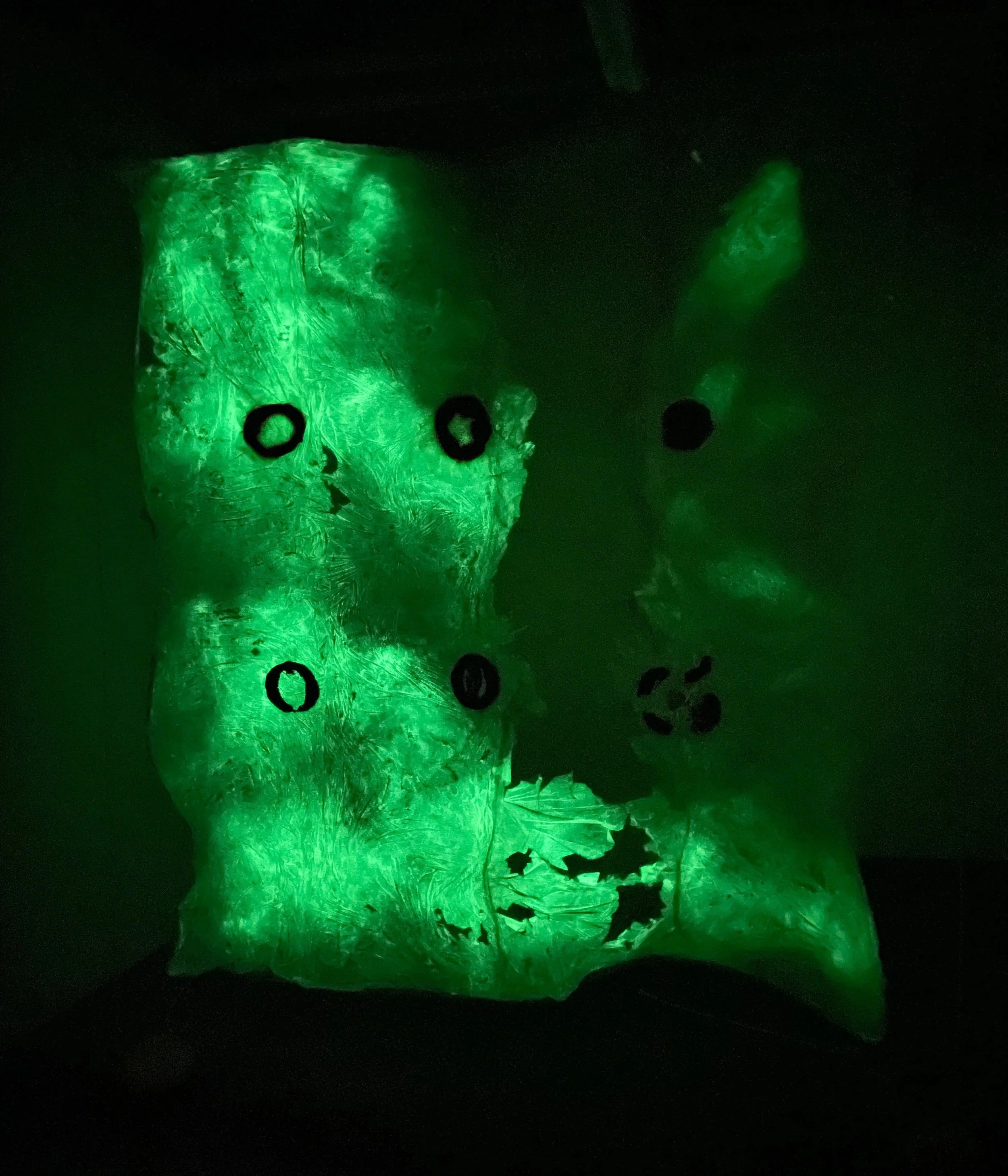 Untitled (in the dark), 2021, Materials: Collagen dyed with Gatorade, glass beads, plastic doll heels, toy jellyfish, horseshoe crab, glitter, sprinkles, dried melon, agar agar, glycerin, baby powder,
clear rubber bands, scrotum clamps, cotton rope, 