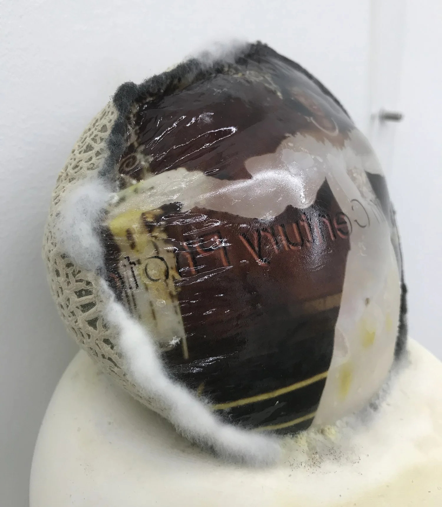 Keeper (detail), 2021, Materials: Found photograph, melon, collagen, glass beads, plaster, plexiglass, resin, hardware, 29" x 20" x 8 "