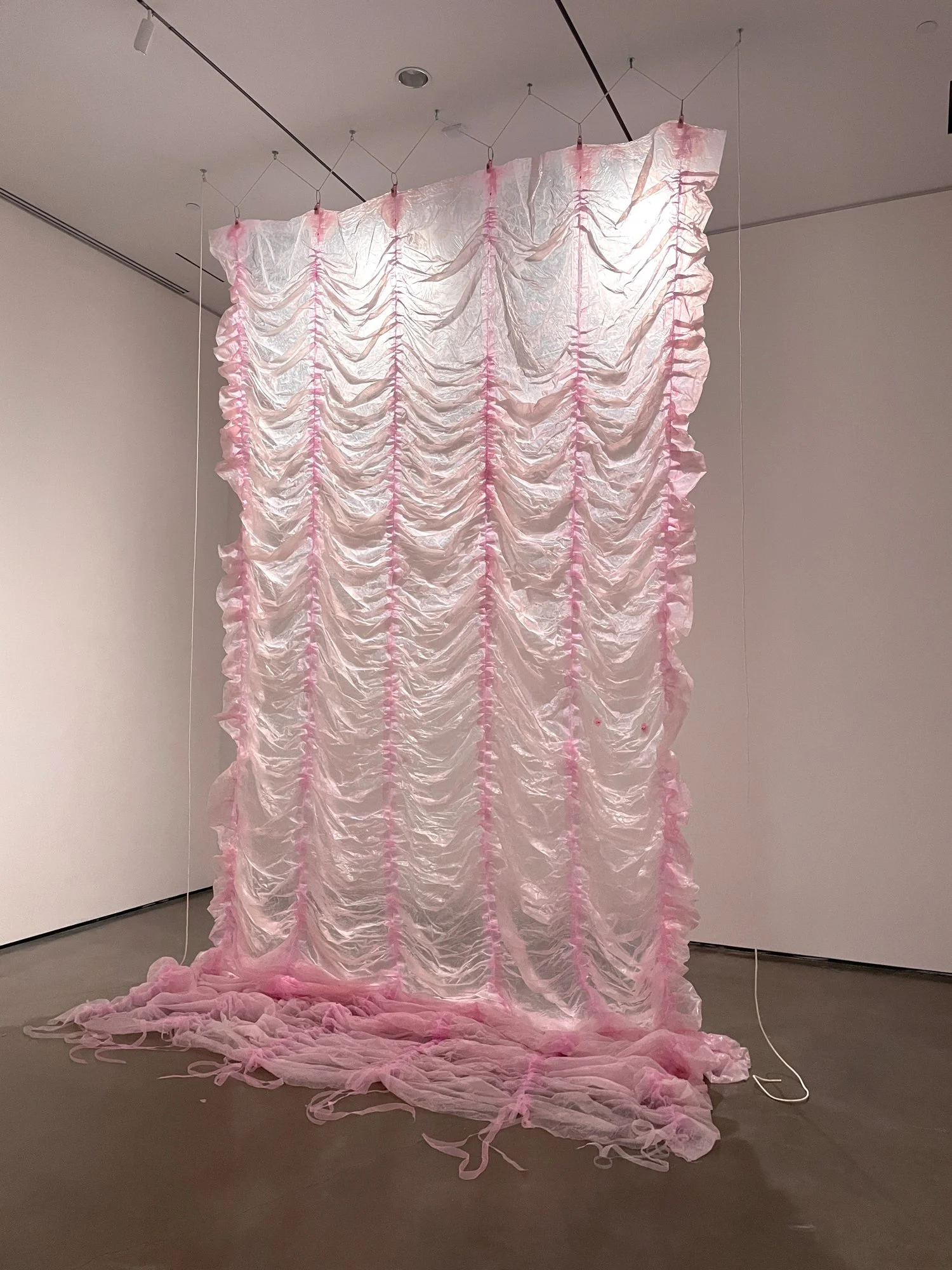 Pinkie III, 2023, materials: collagen, silicone, flesh clamps, ribbon, cotton rope 
120" x 240" x 12". Installed in "Shapeshifting: Or, Synonyms for Skin" at the Hessel Museum of Art, Bard College, Annandale-on-Hudson, NY. 