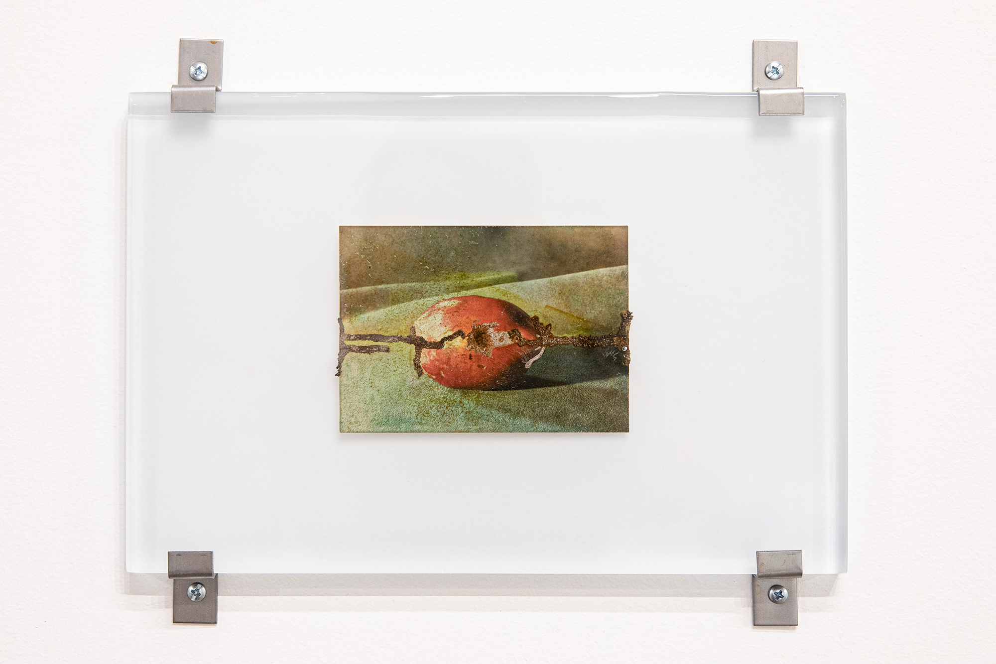 "catalyzer 6," Electroplated found
photograph in epoxy, 2024, 12" x 8" 