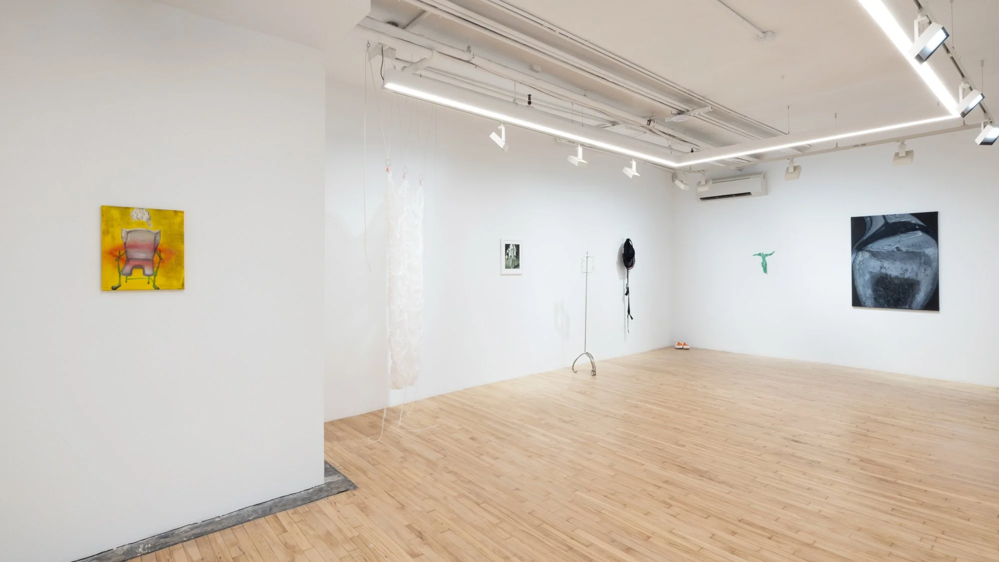 Pinkie (study), 2025