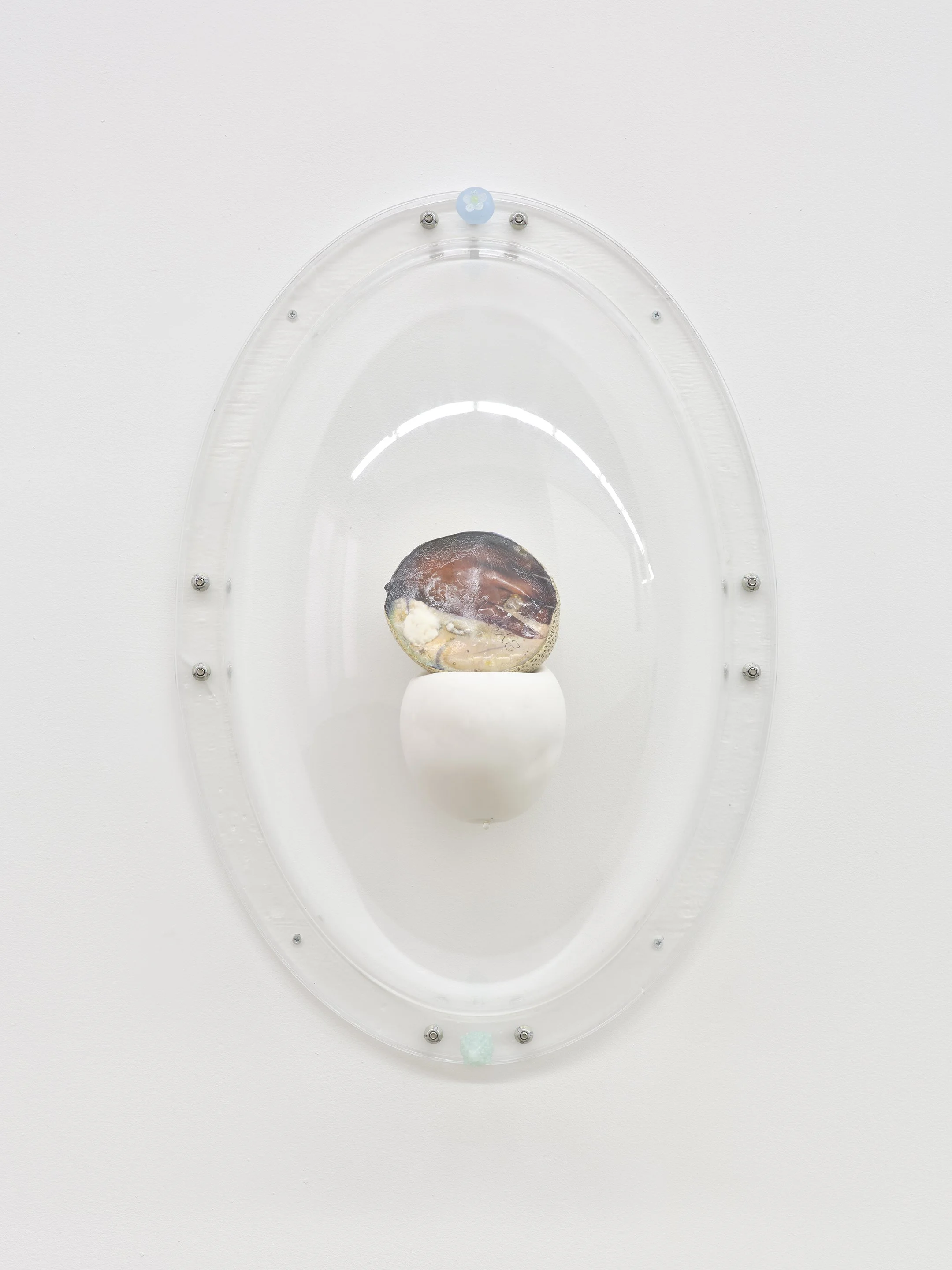 Keeper Series, 2021, Series of 6 installed in "Melon Skin", Materials: Found photograph, melon, collagen, glass beads, plaster, plexiglass, resin, hardware, 29" x 20" x 8 "
