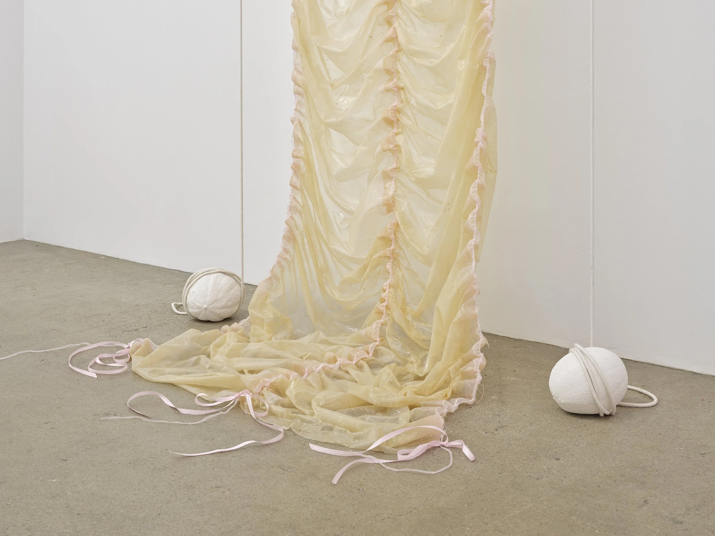 Untitled (piece of Pinkie II), 2021
Collagen dyed with soda, silicone, baby powder, ribbon, scrotum clamps,
cotton rope, cast plaster melons
124" x 52" x 36" 